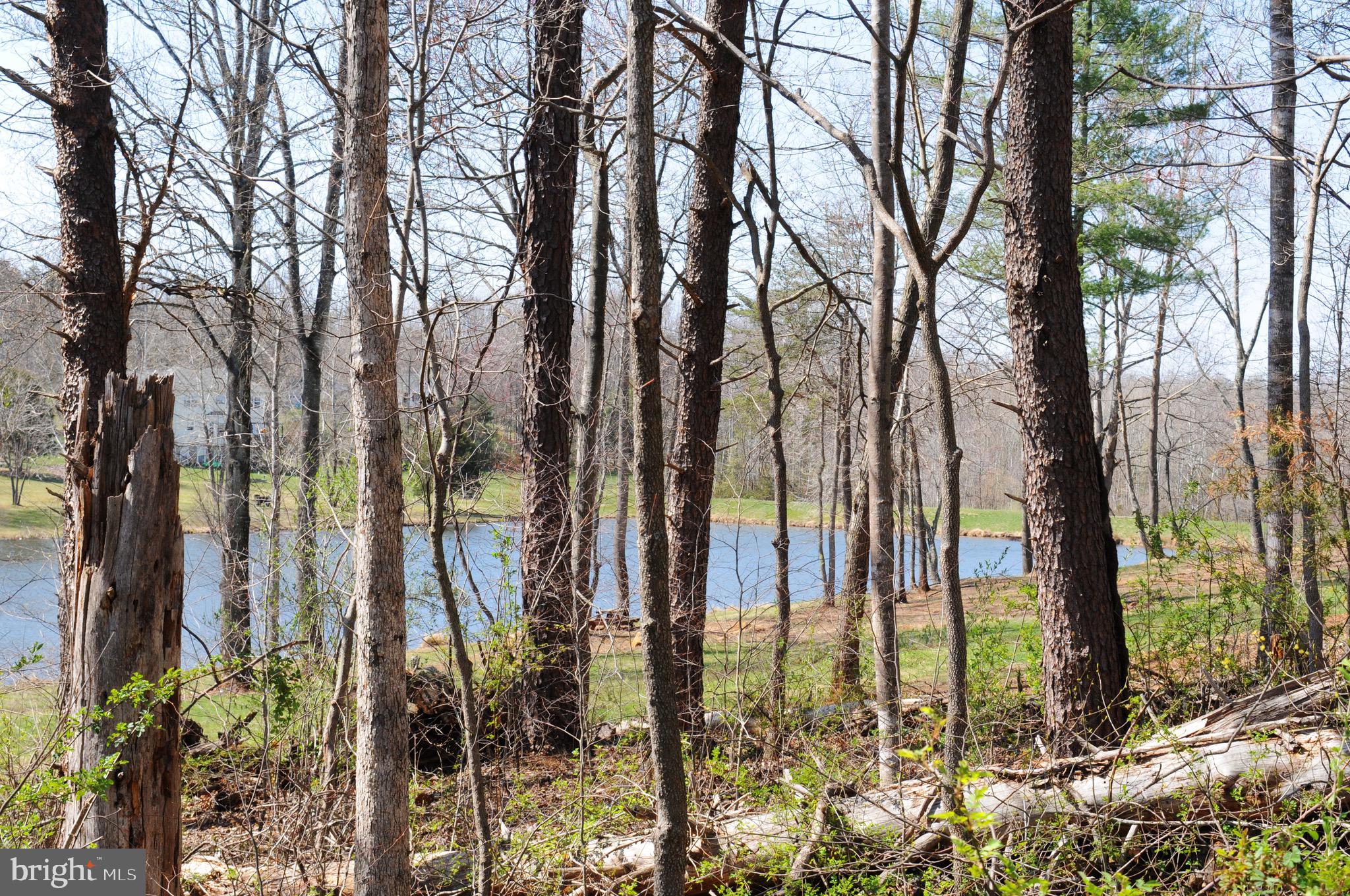 FIELDS OF GRIFFINSBURG - Land
