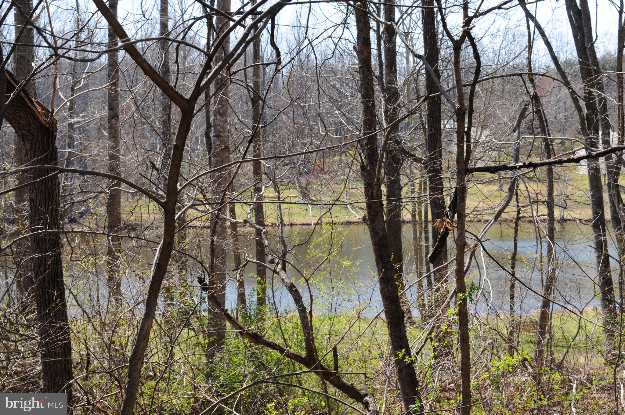 FIELDS OF GRIFFINSBURG - Land