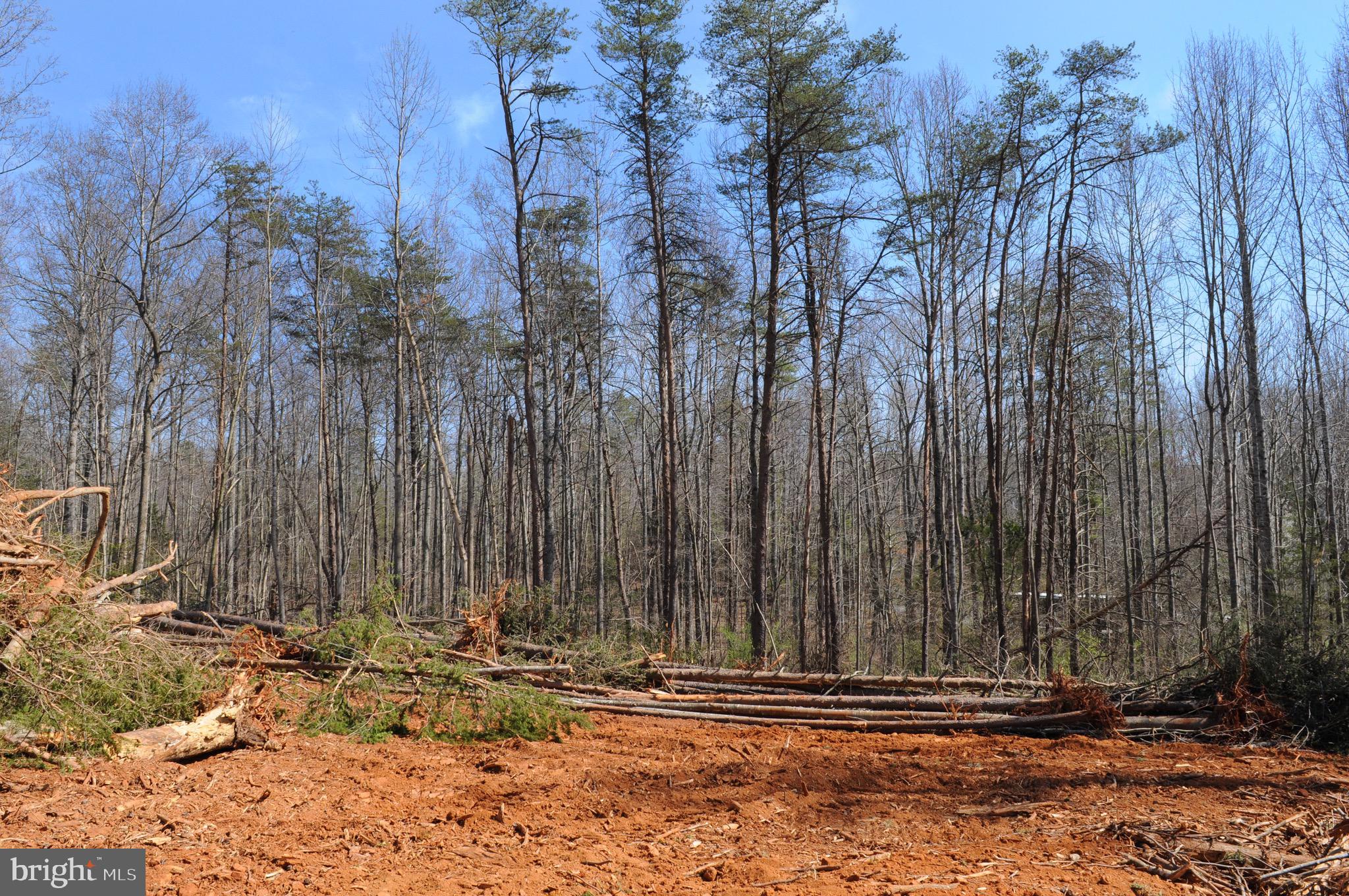 FIELDS OF GRIFFINSBURG - Land