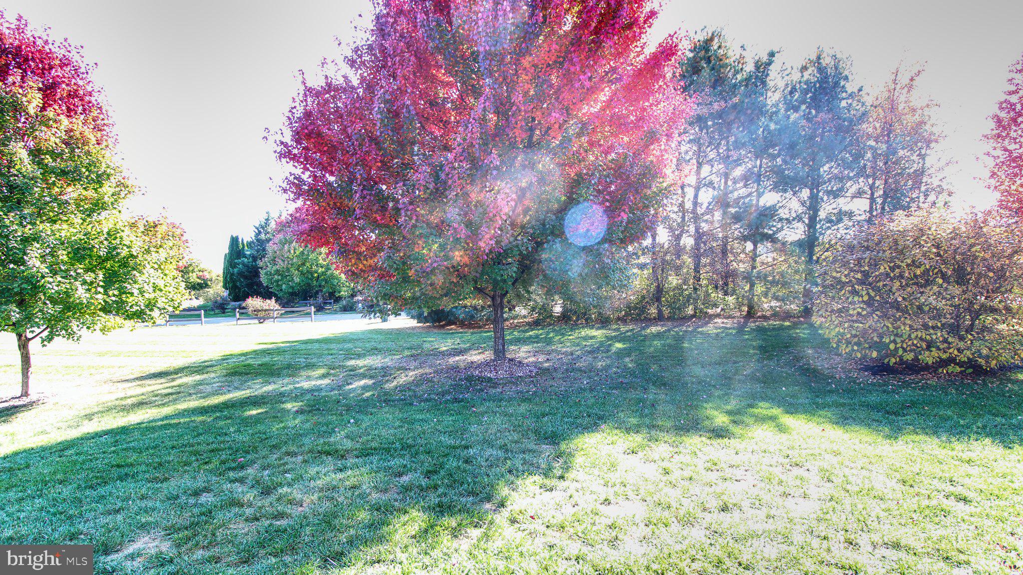 CORTLAND MANOR - Residential