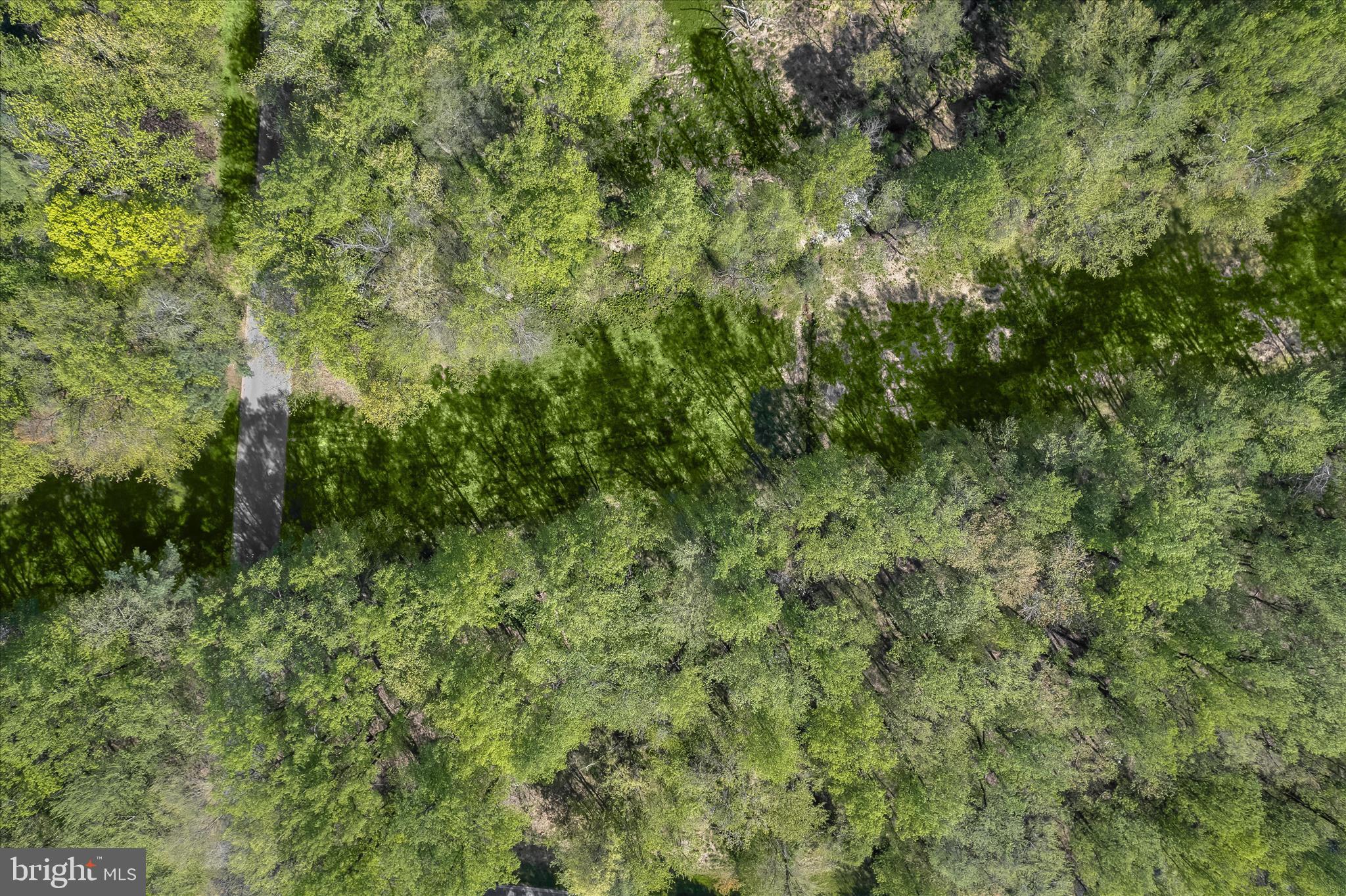 THE WOODS - Land