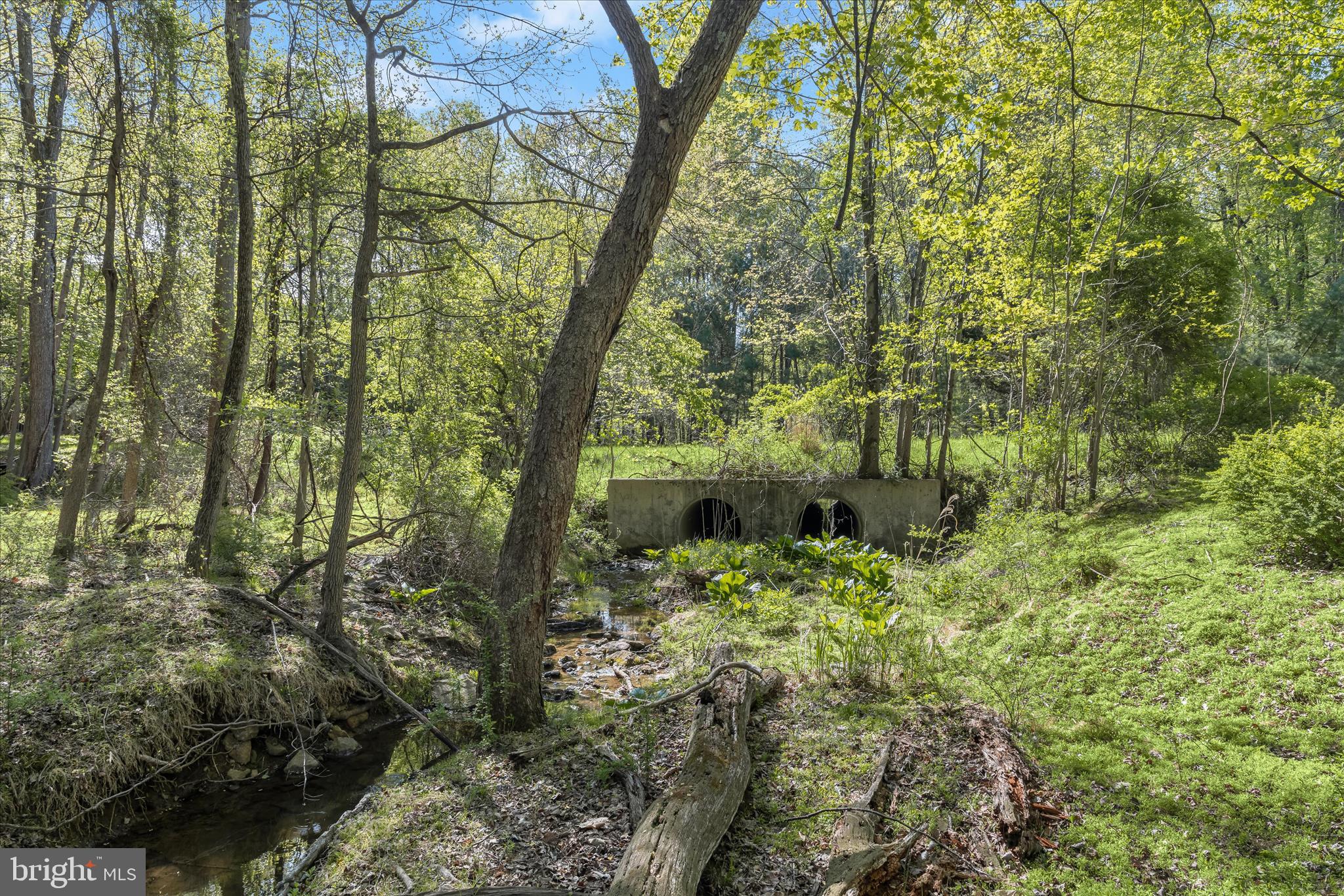 THE WOODS - Land