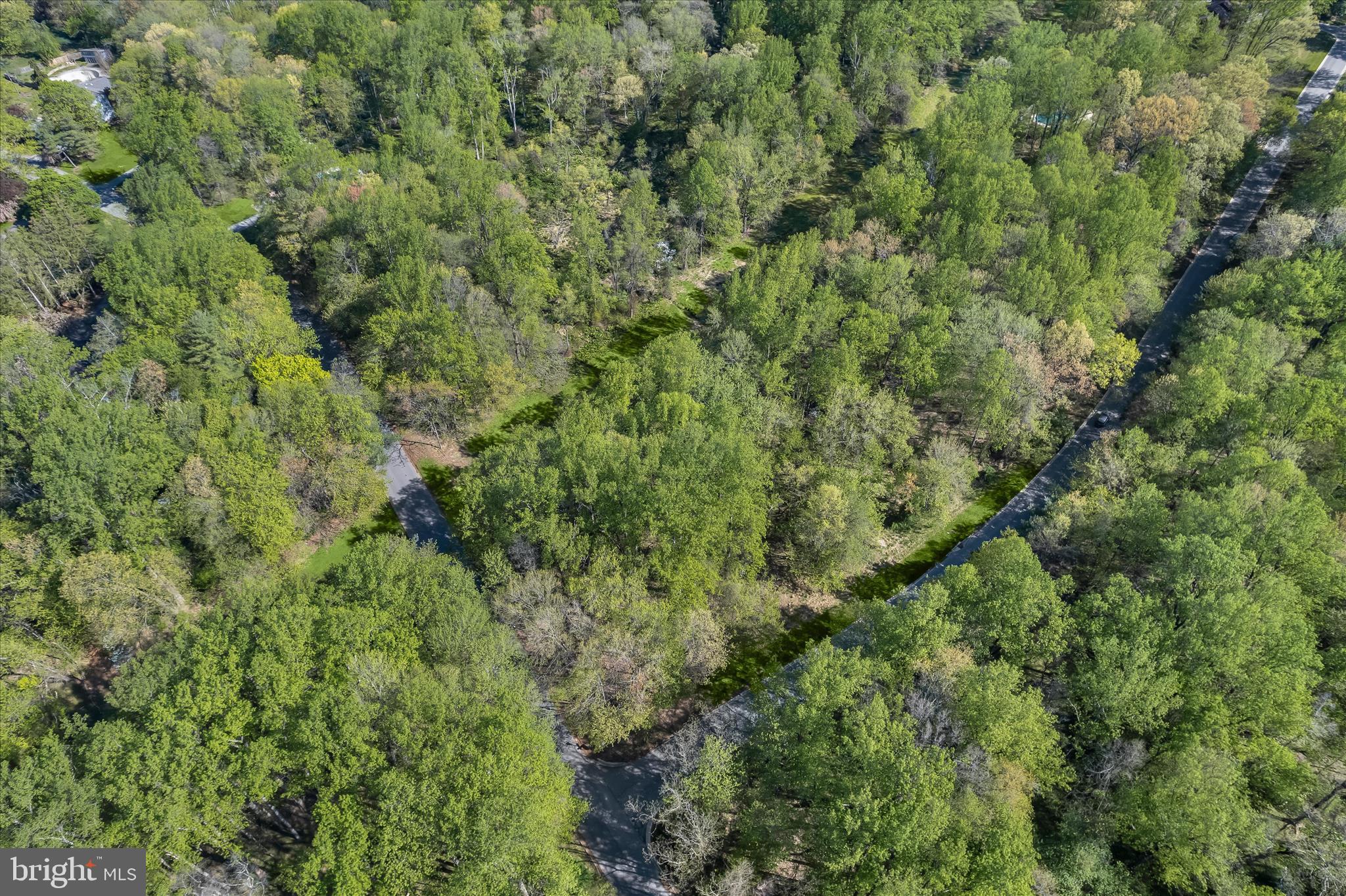 THE WOODS - Land
