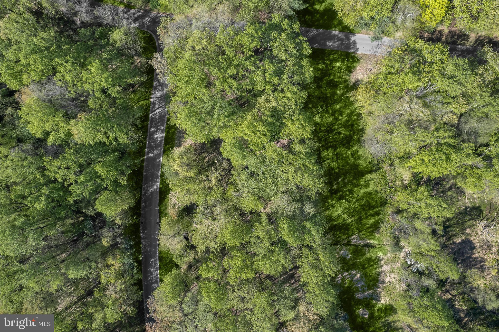 THE WOODS - Land