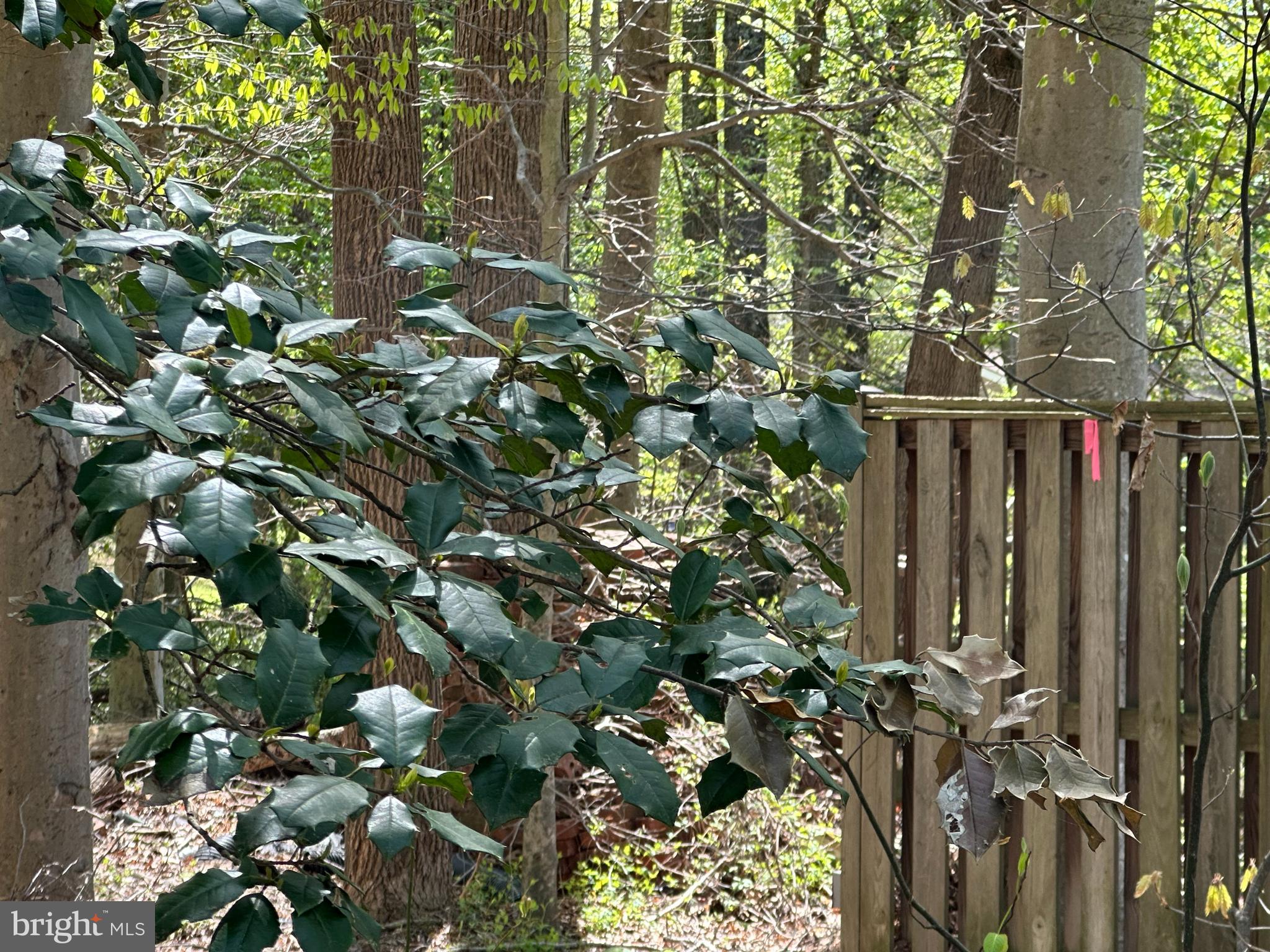 6001 EVERGREEN TRAIL