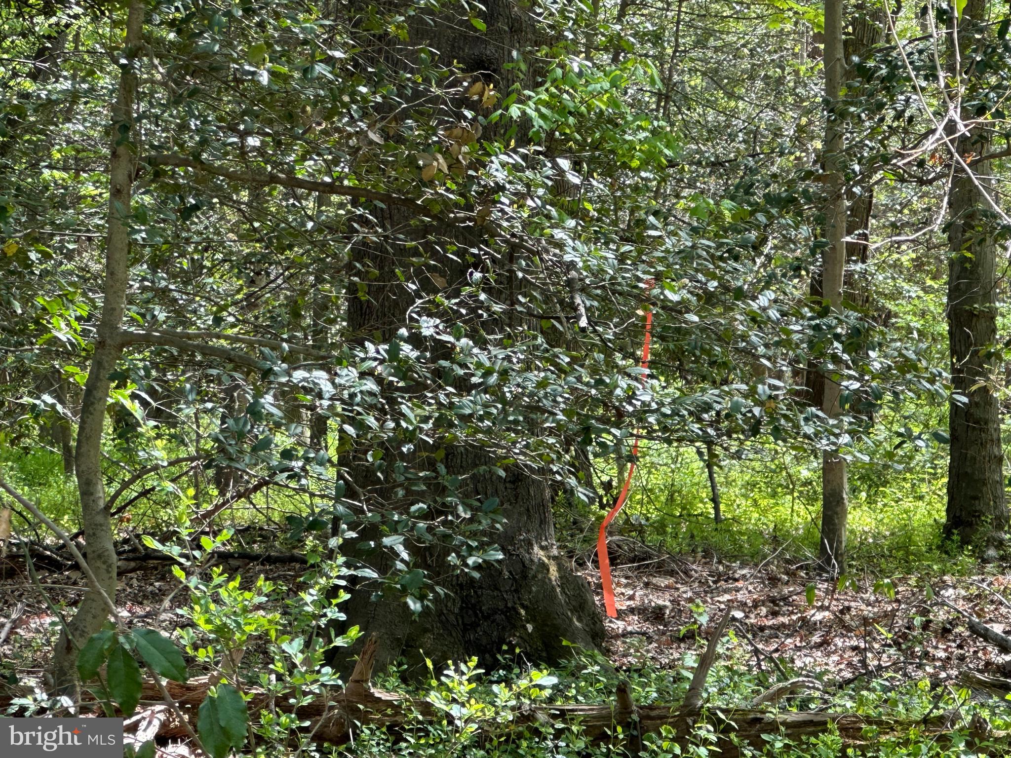 6001 EVERGREEN TRAIL