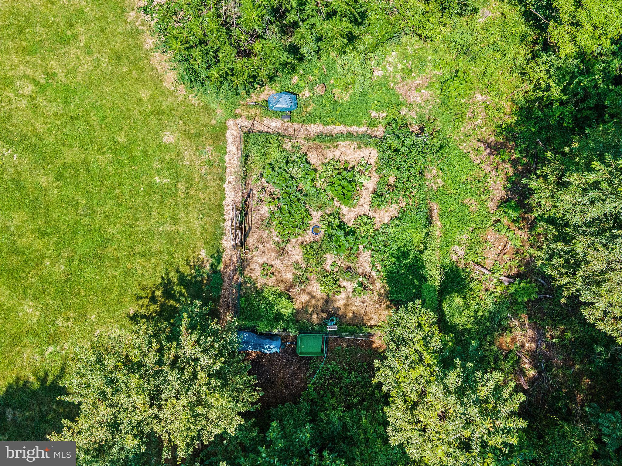 DELAPLANE MEADOWS - Residential