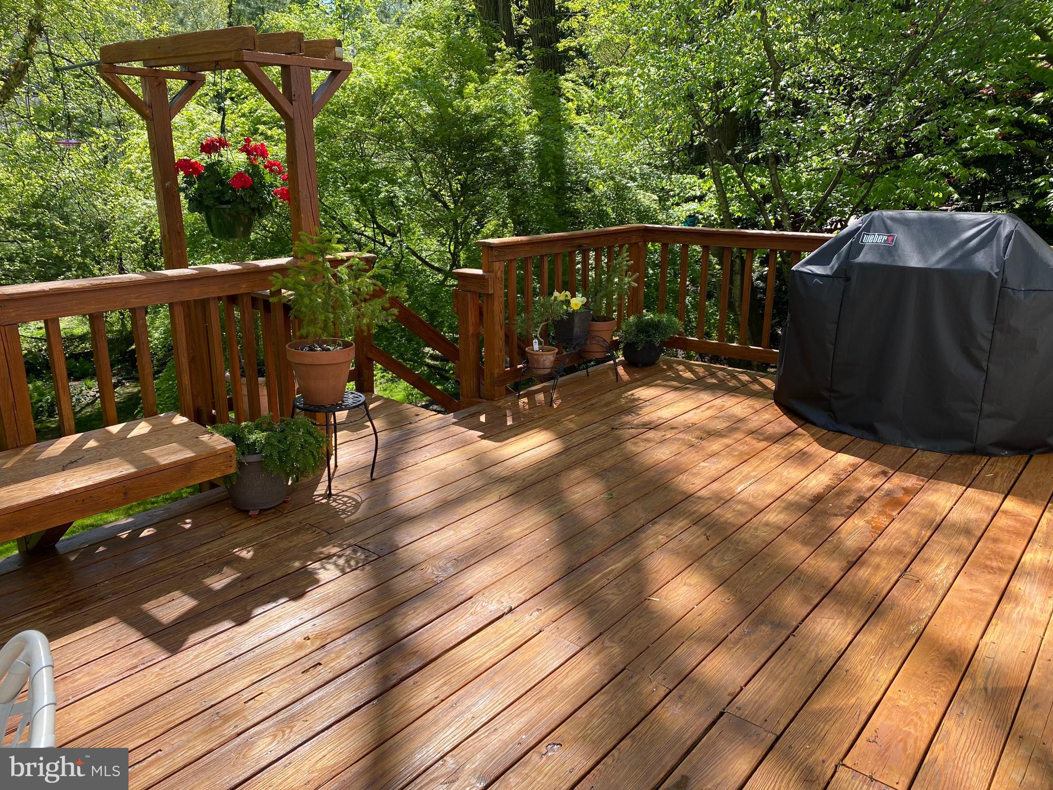 WYNDMOOR - Residential