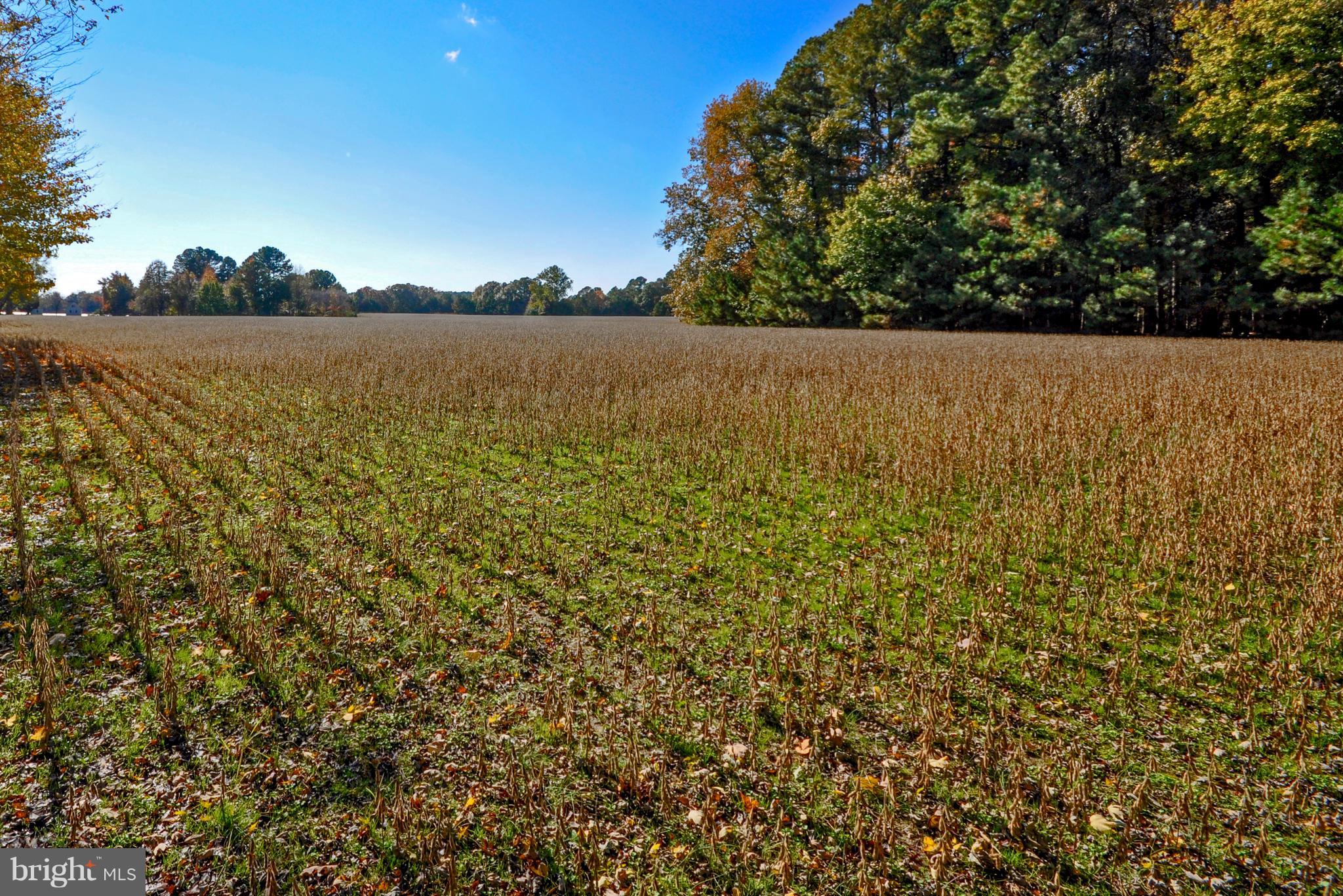 BOZMAN - Residential