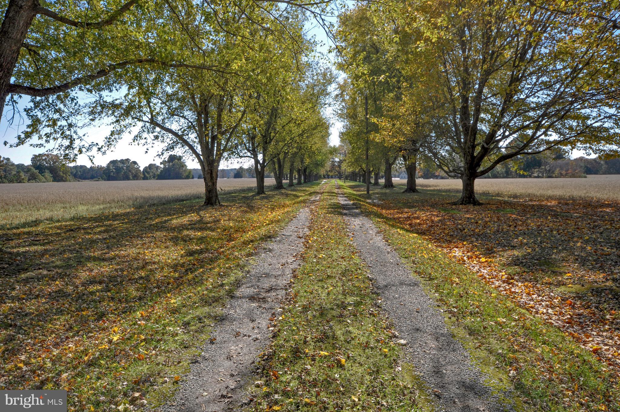 BOZMAN - Residential