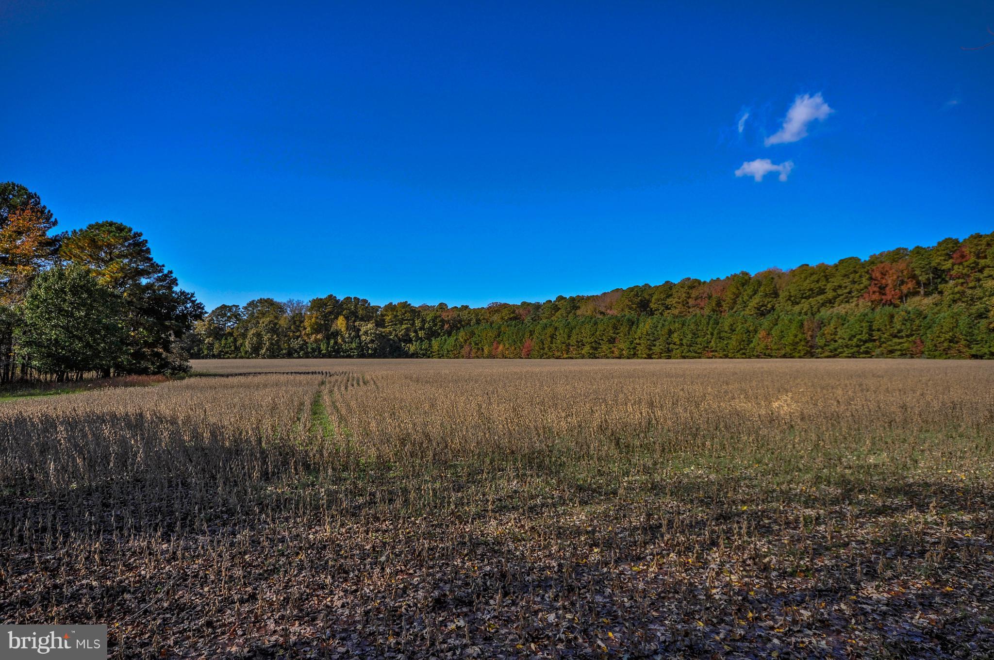 BOZMAN - Residential