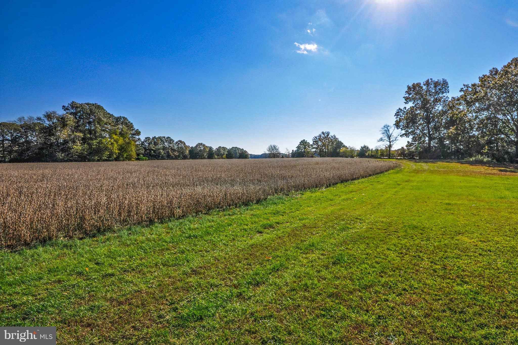 BOZMAN - Residential