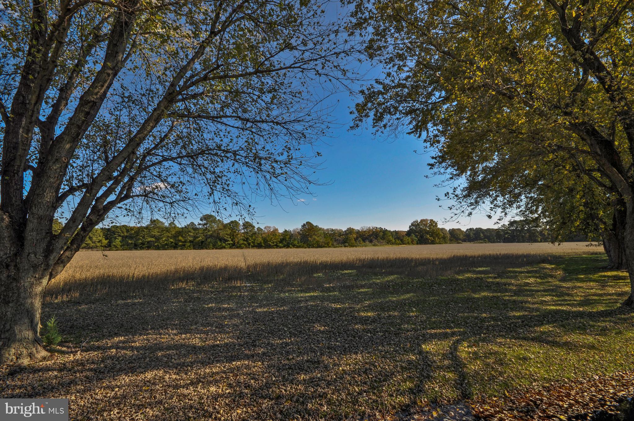 BOZMAN - Residential