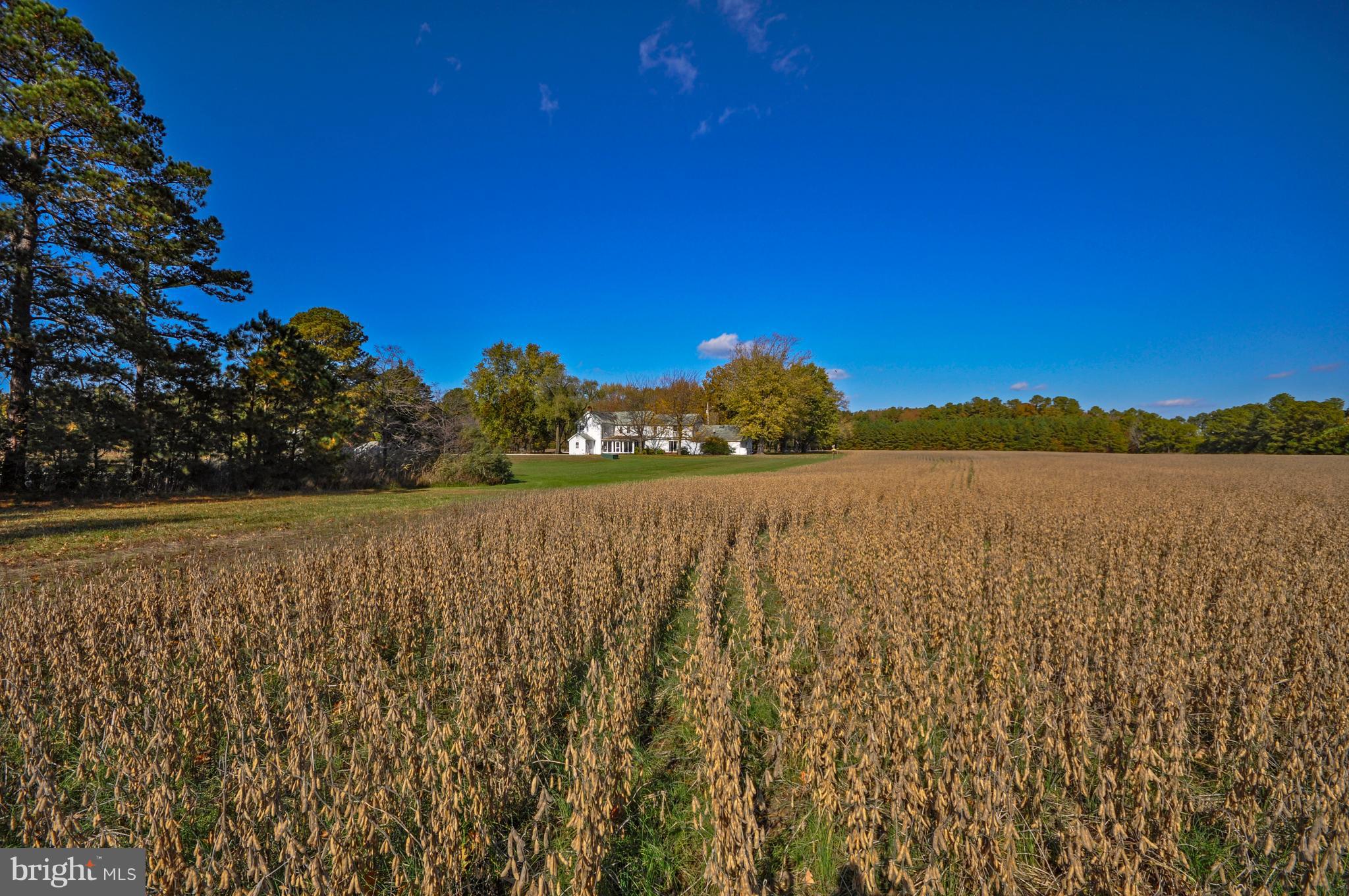 BOZMAN - Residential