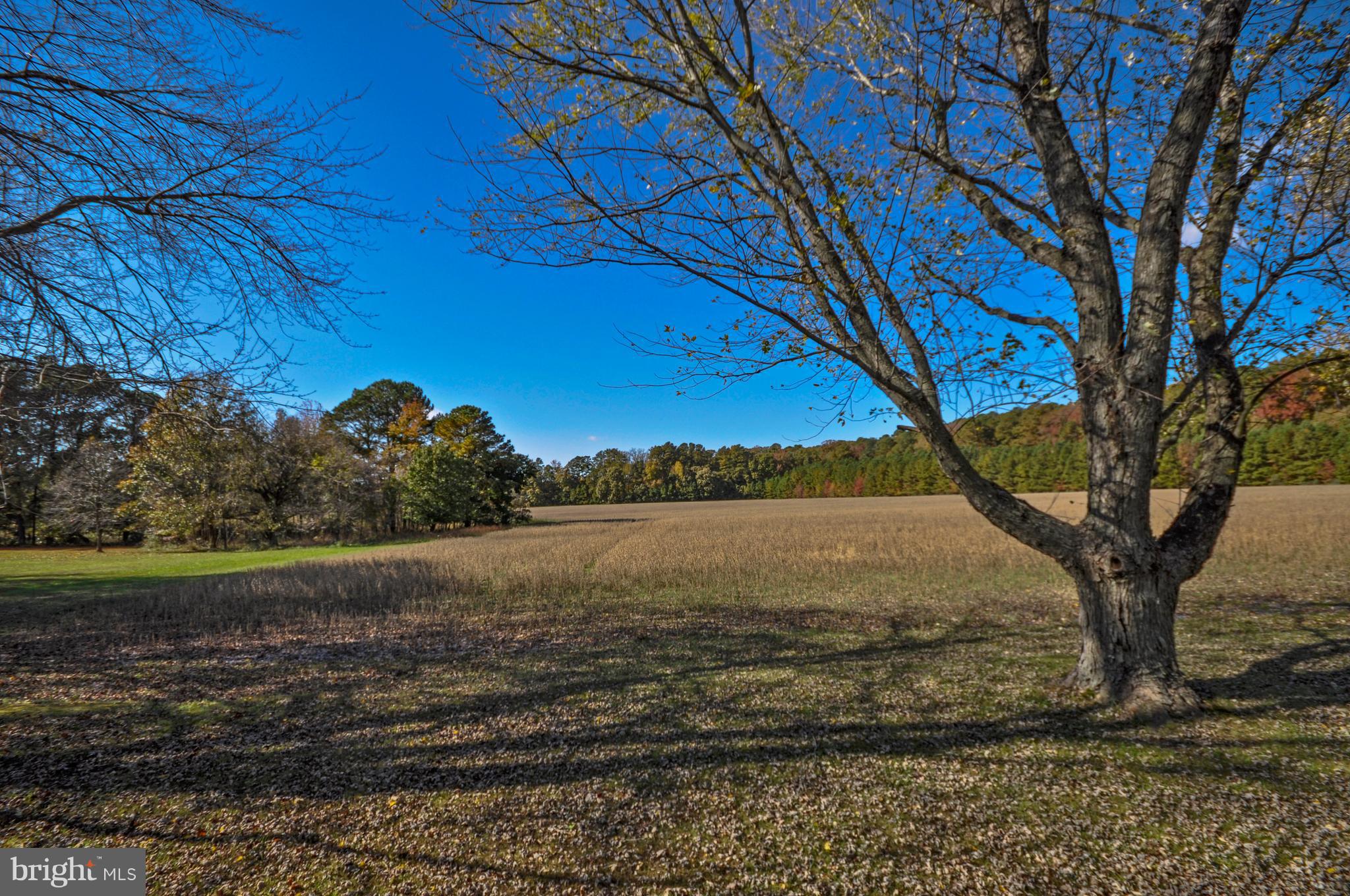 BOZMAN - Residential