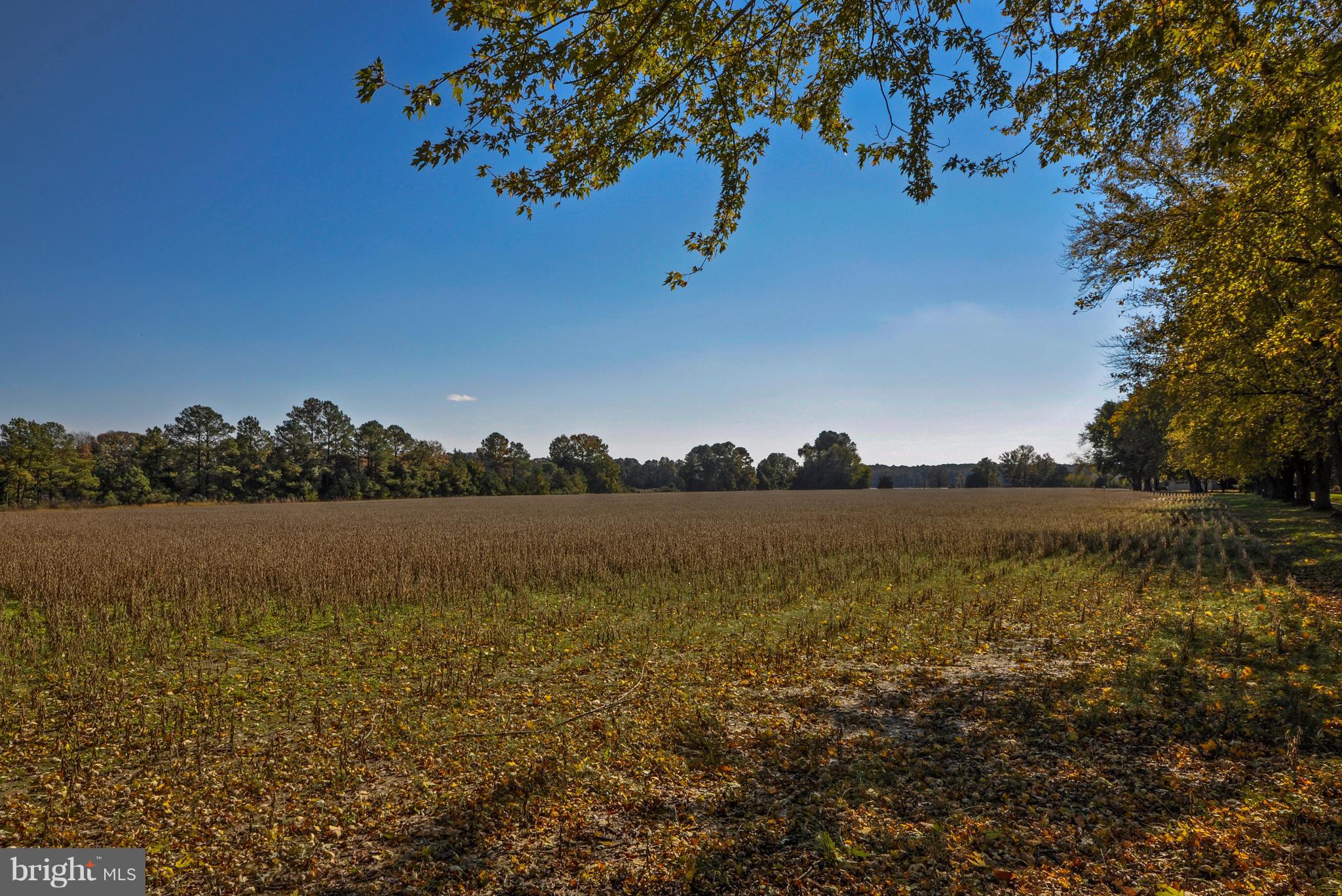 BOZMAN - Residential