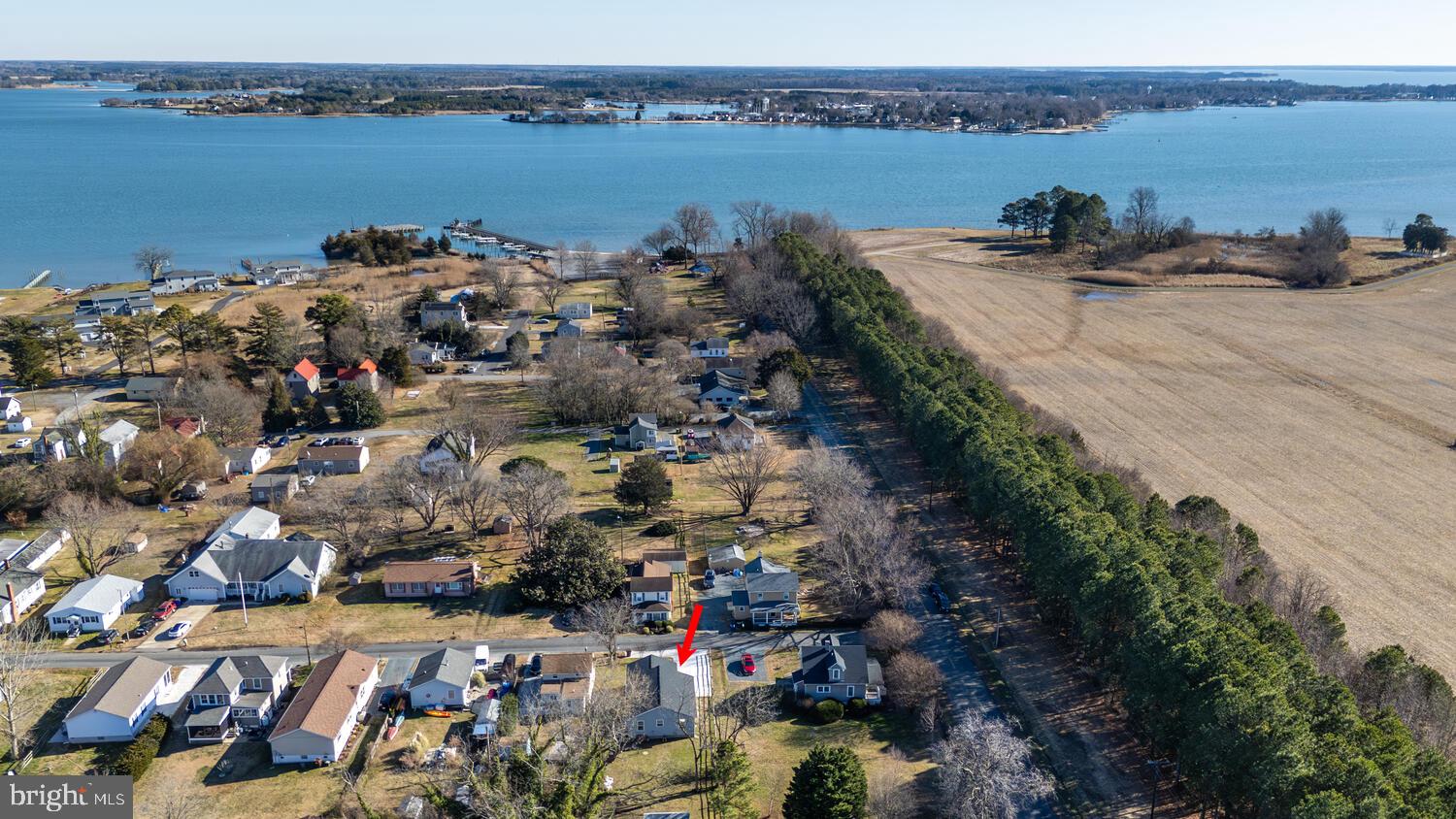 BELLEVUE - Residential