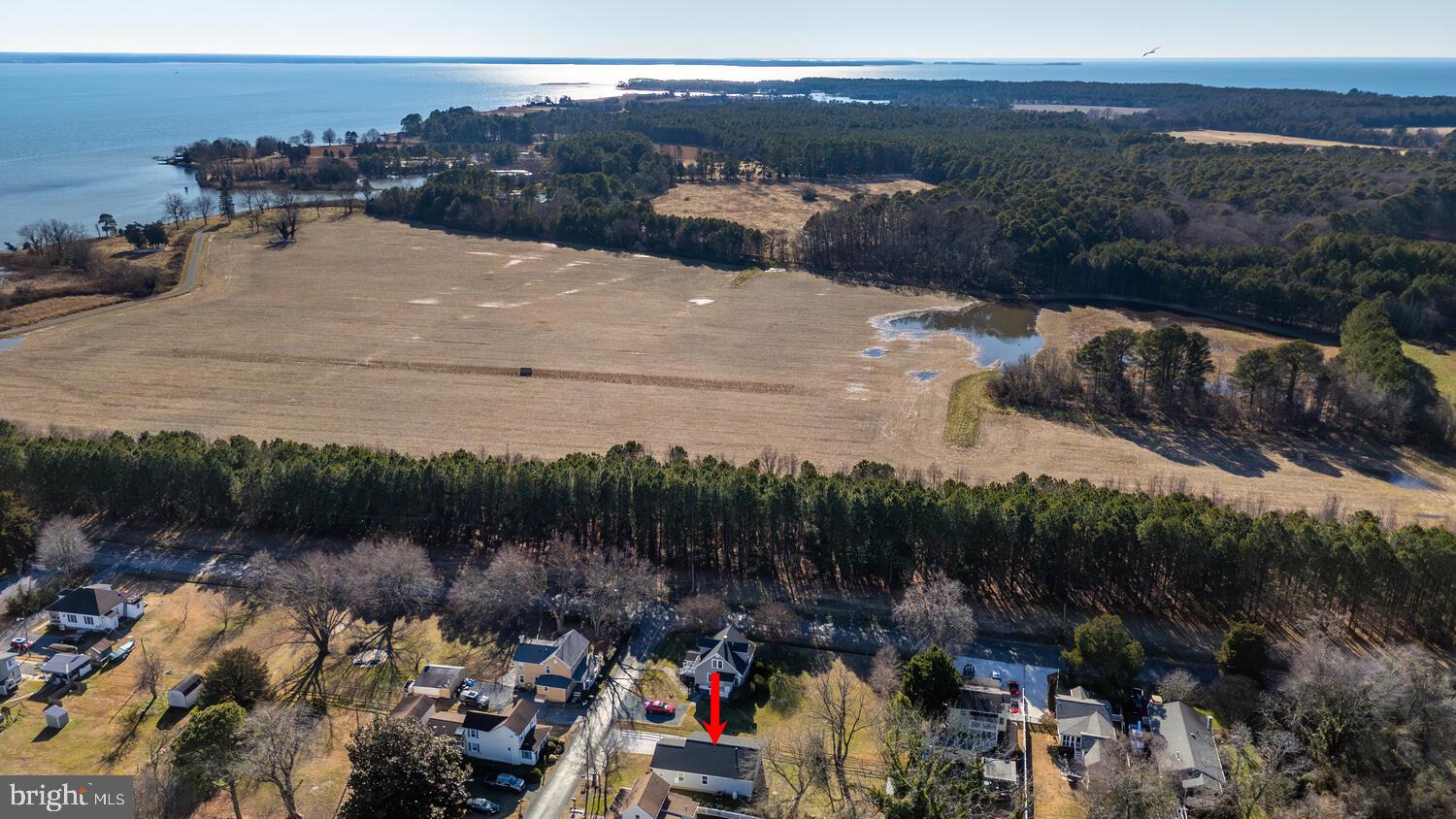 BELLEVUE - Residential