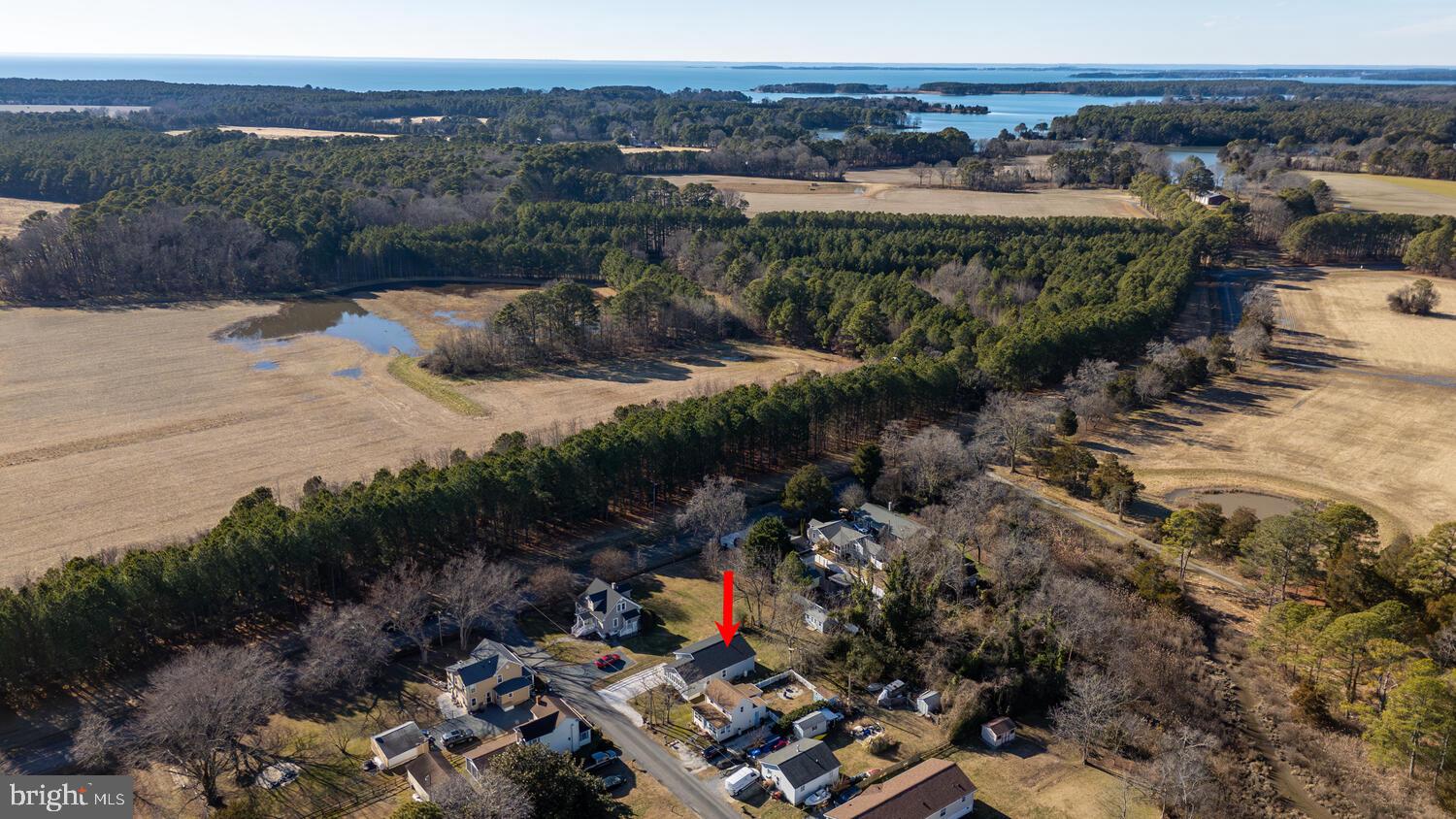 BELLEVUE - Residential