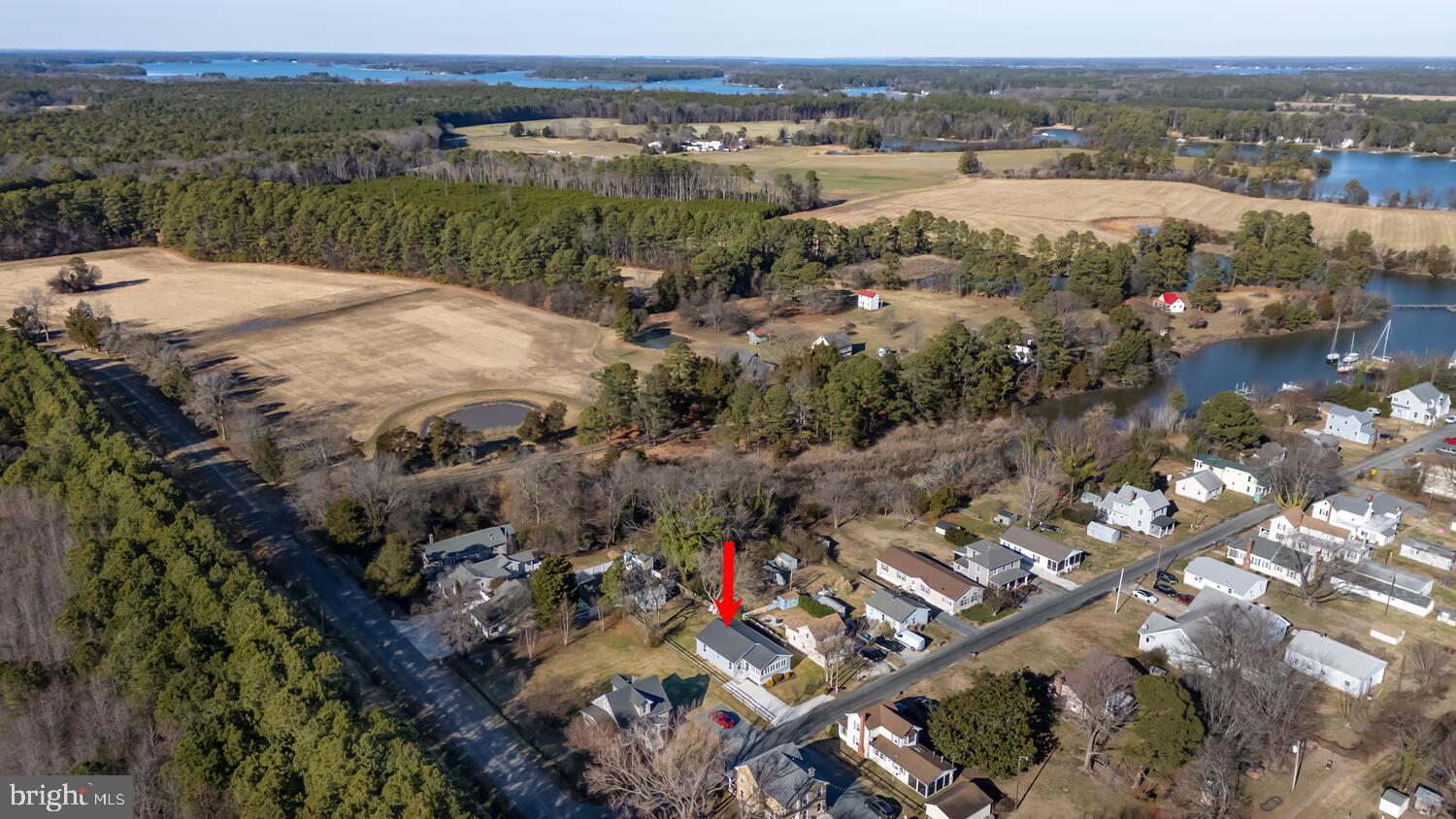 BELLEVUE - Residential