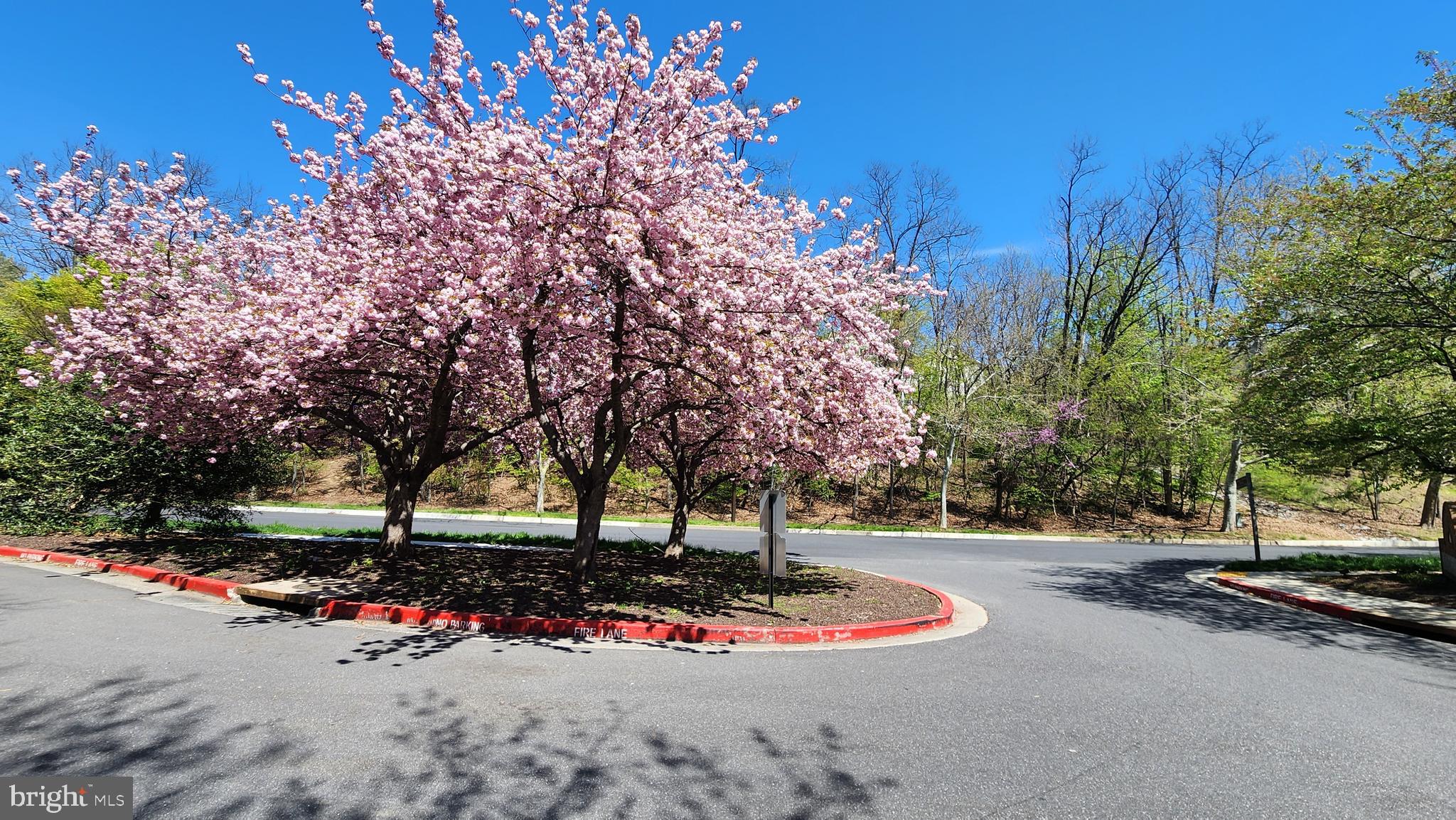 7361 EDEN BROOK DRIVE