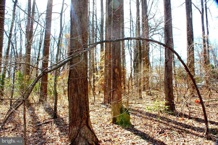 Welcome to your new homesite , Amazing wooded 10.10 Acre building lot lot, Come place your dream home here surrounded by lush mature forest, close to farms and nature, conviniently located between Lake Anna and I95  Perk is approved, documents are uploaded for agent review. Dont delay, large parcels ready to go move fast!