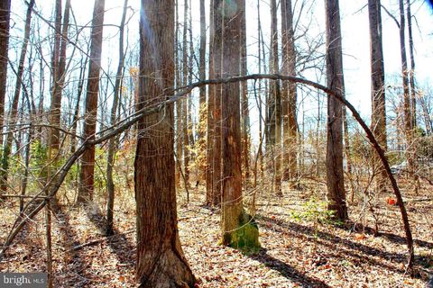 Vacant Land For Sale - Bambi Court<br/> Hanover County, BEAVERDAM, VA 23015