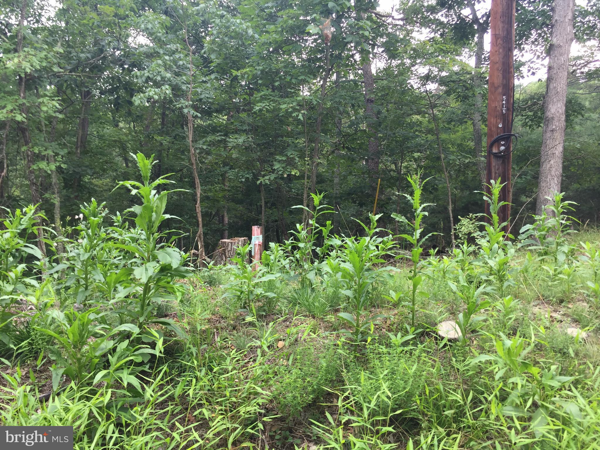 SLEEPY CREEK HIDE-A-WAY - Land