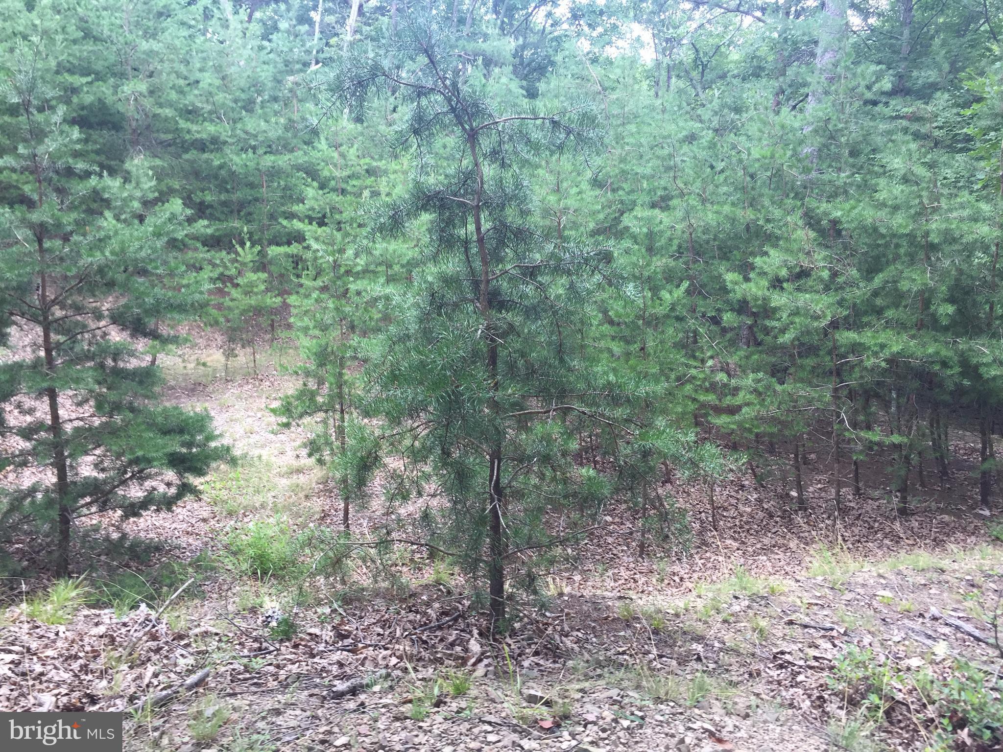 SLEEPY CREEK HIDE-A-WAY - Land