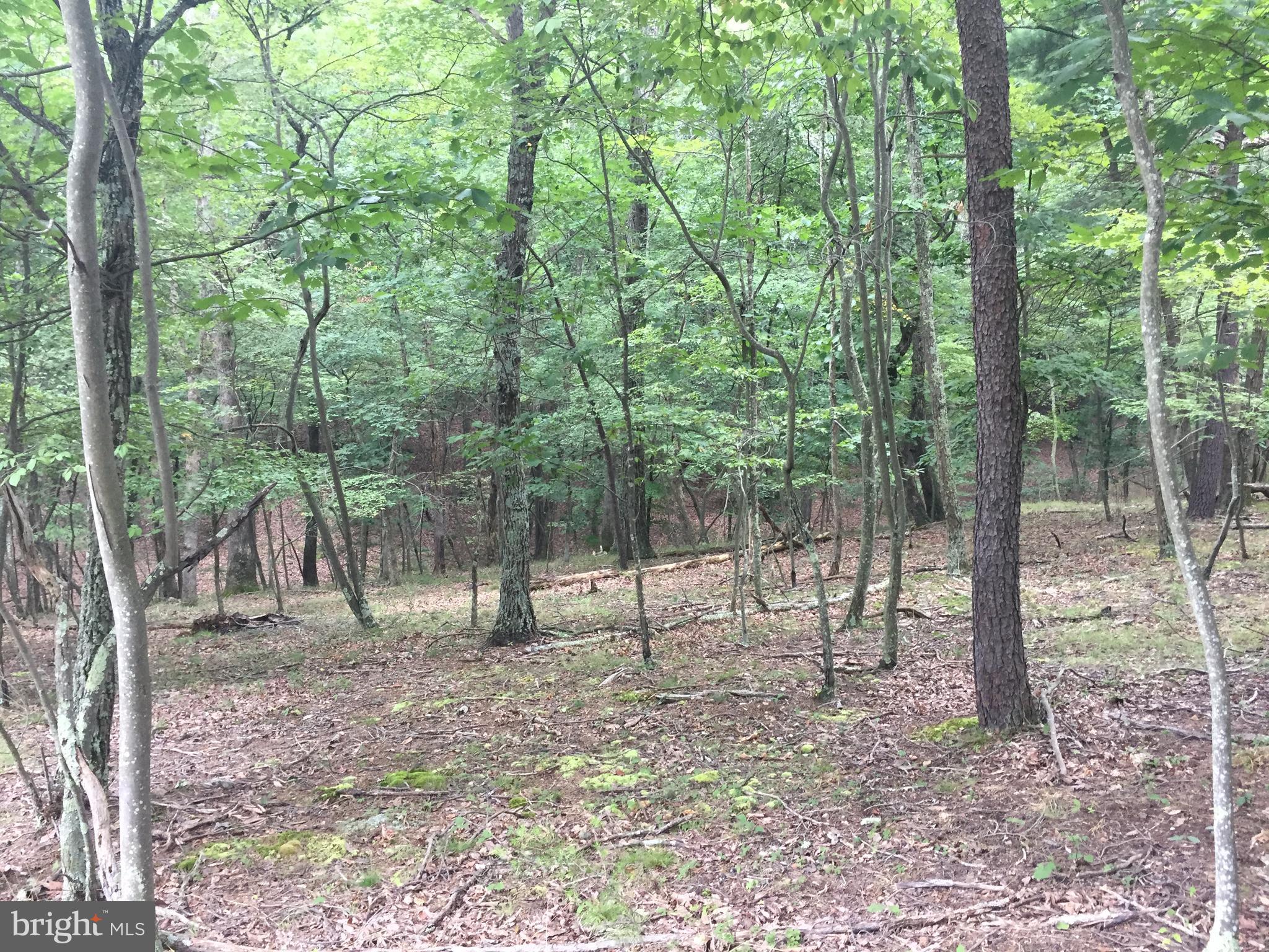 SLEEPY CREEK HIDE-A-WAY - Land