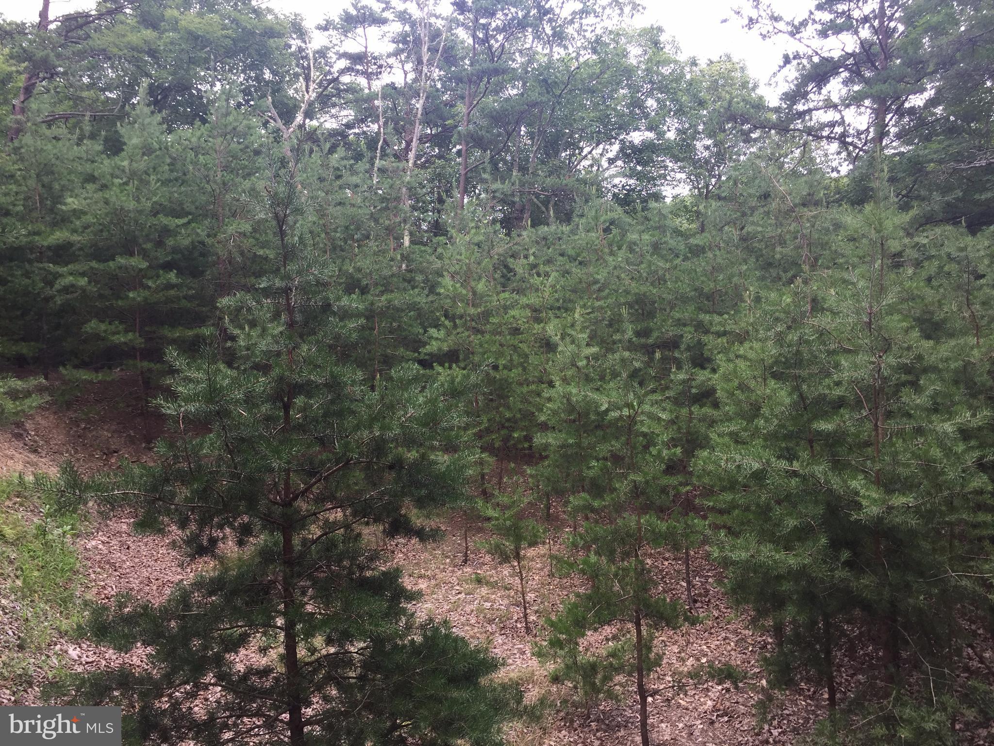 SLEEPY CREEK HIDE-A-WAY - Land