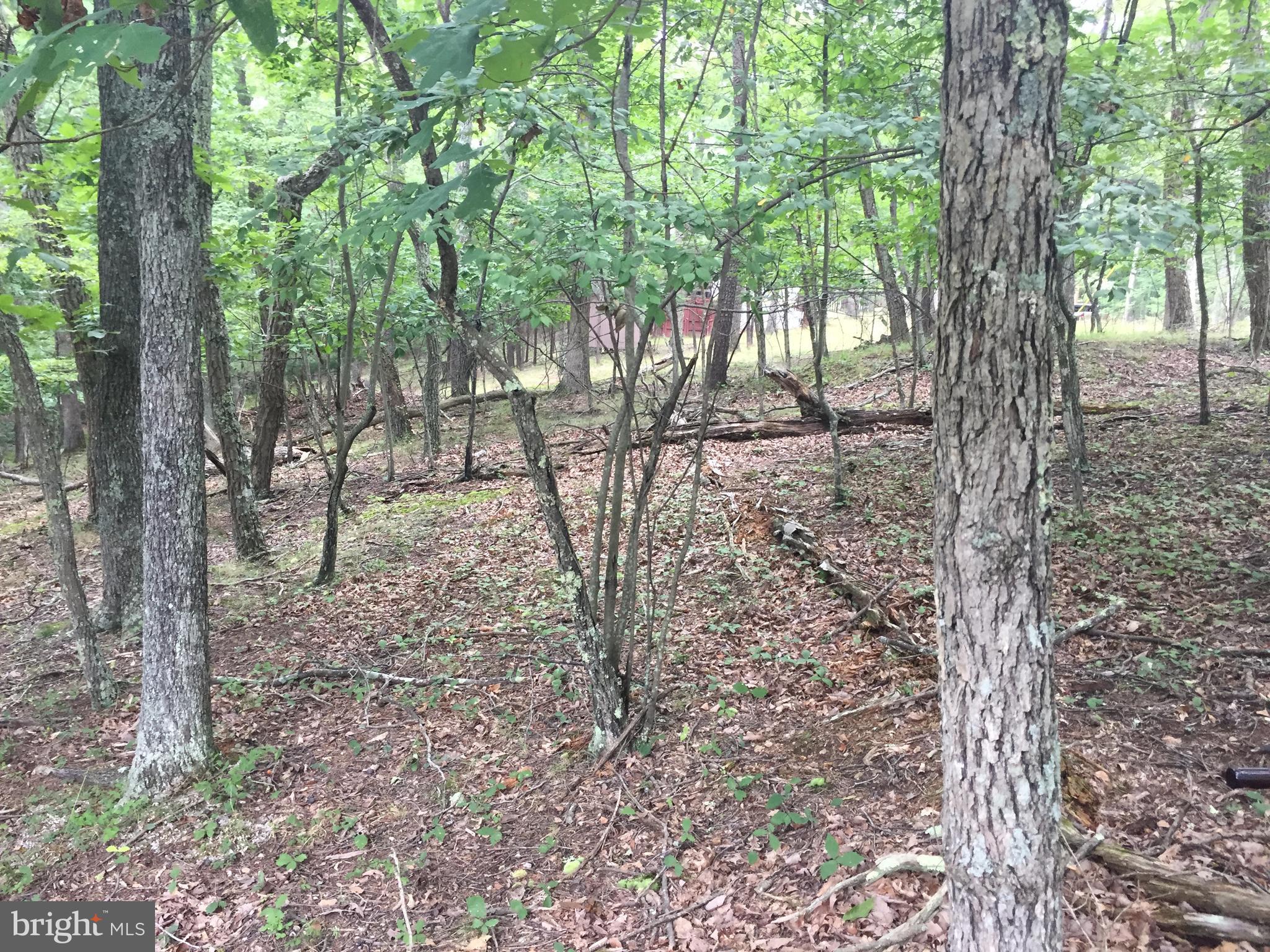 SLEEPY CREEK HIDE-A-WAY - Land