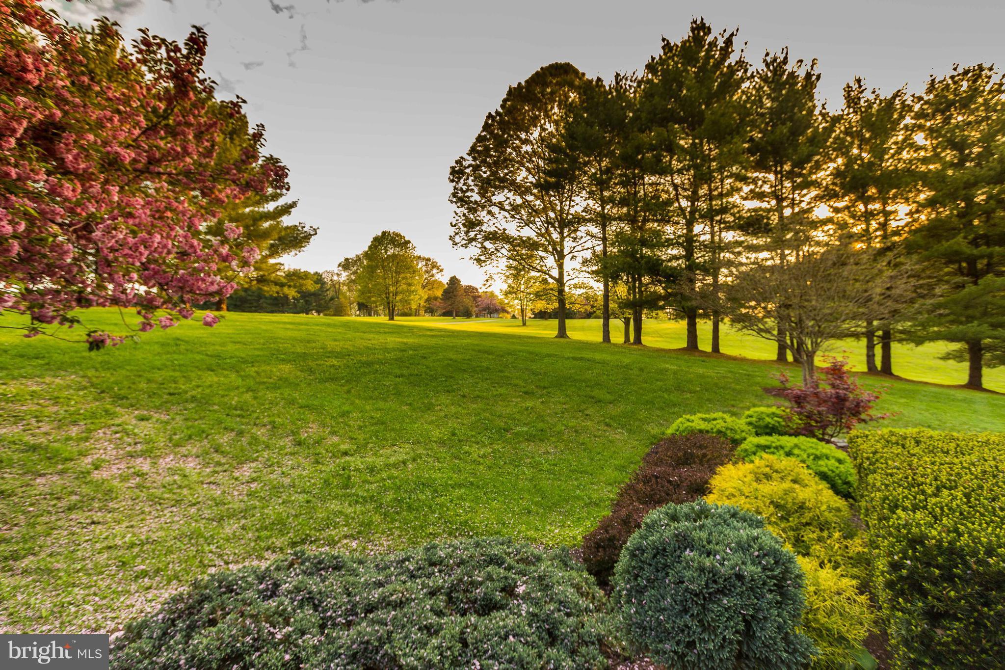 FORESTON RIDGE - Residential