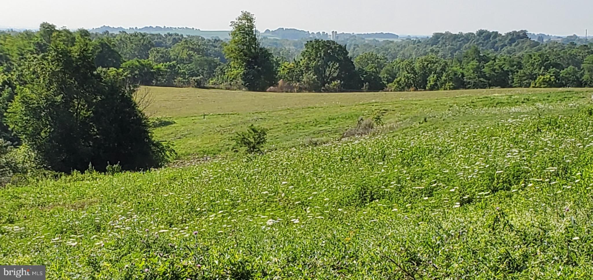 Lot 12 SUNRISE LANE