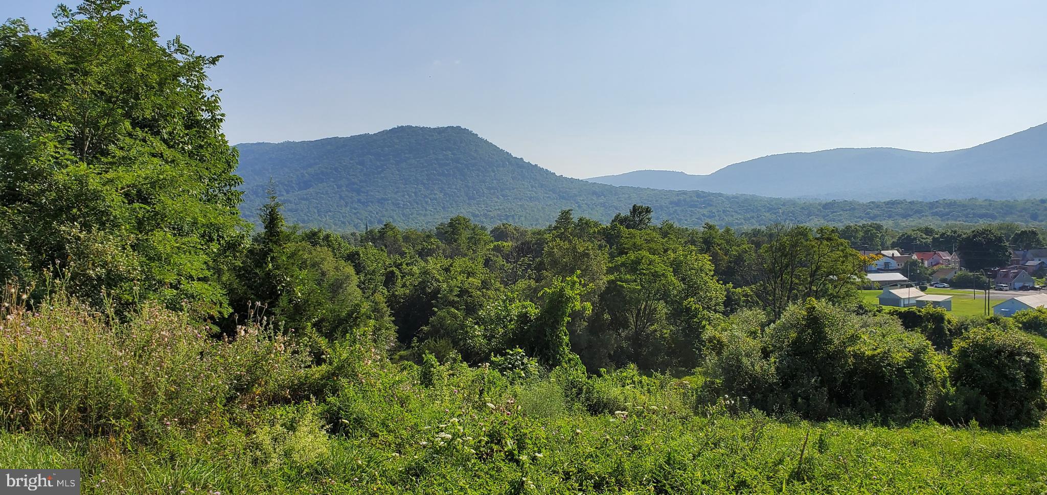 Lot 12 SUNRISE LANE