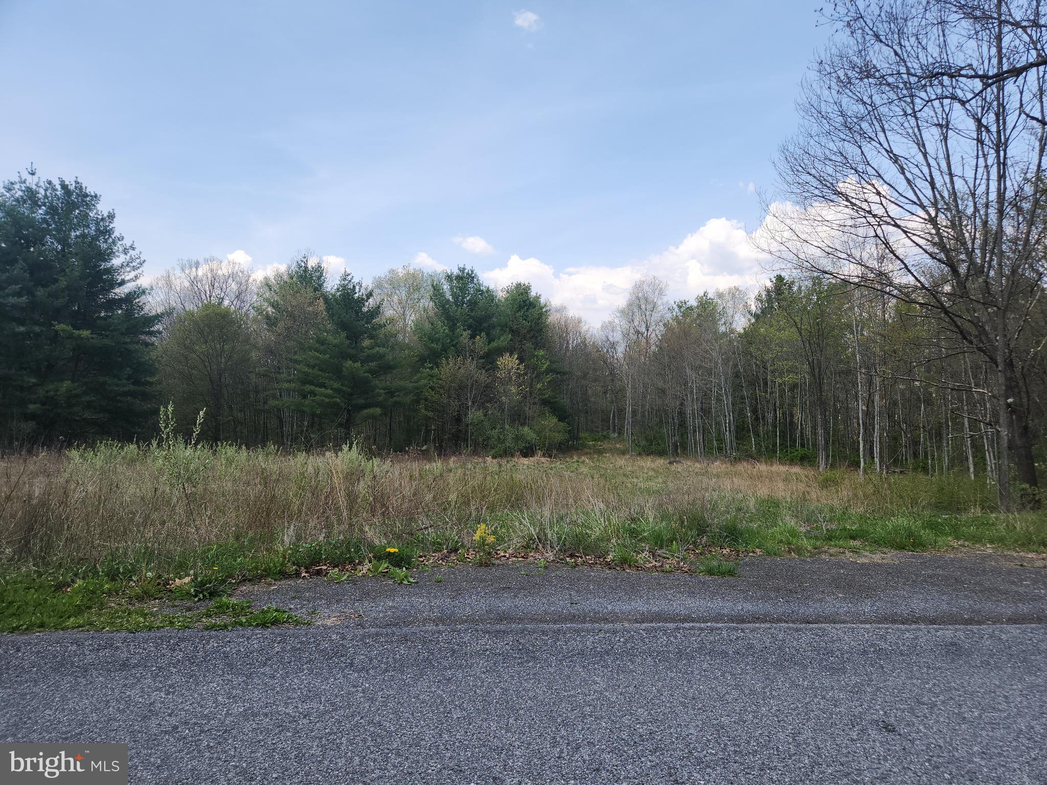 Lot 6 FICKES RD