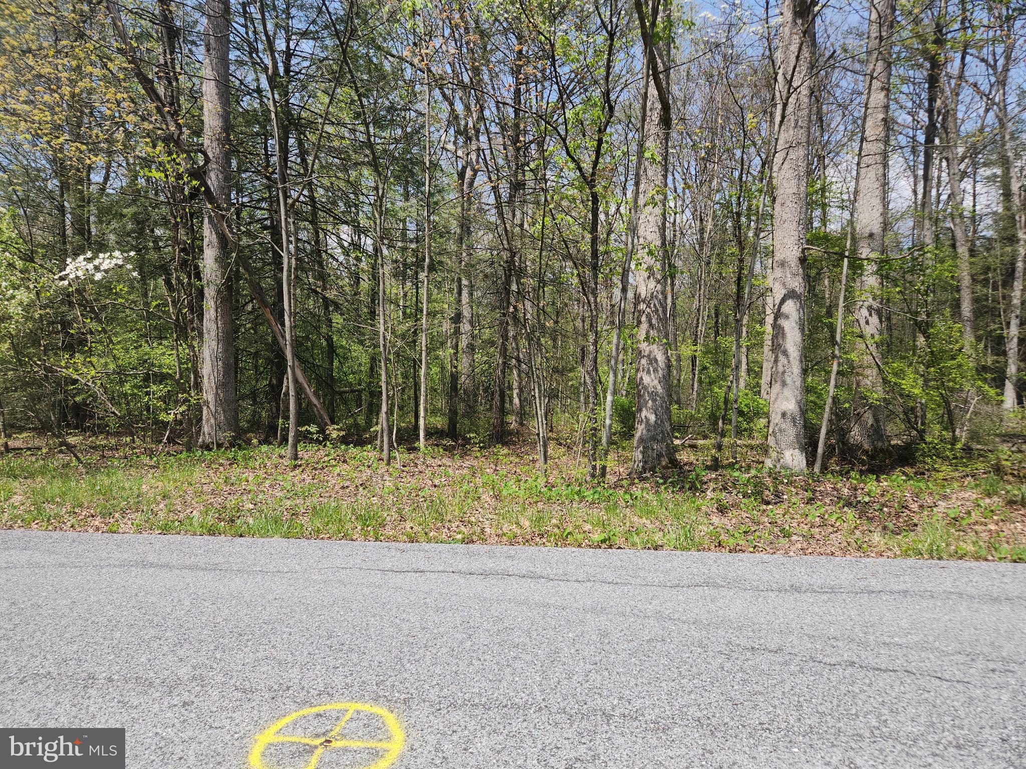 Lot 6 FICKES RD