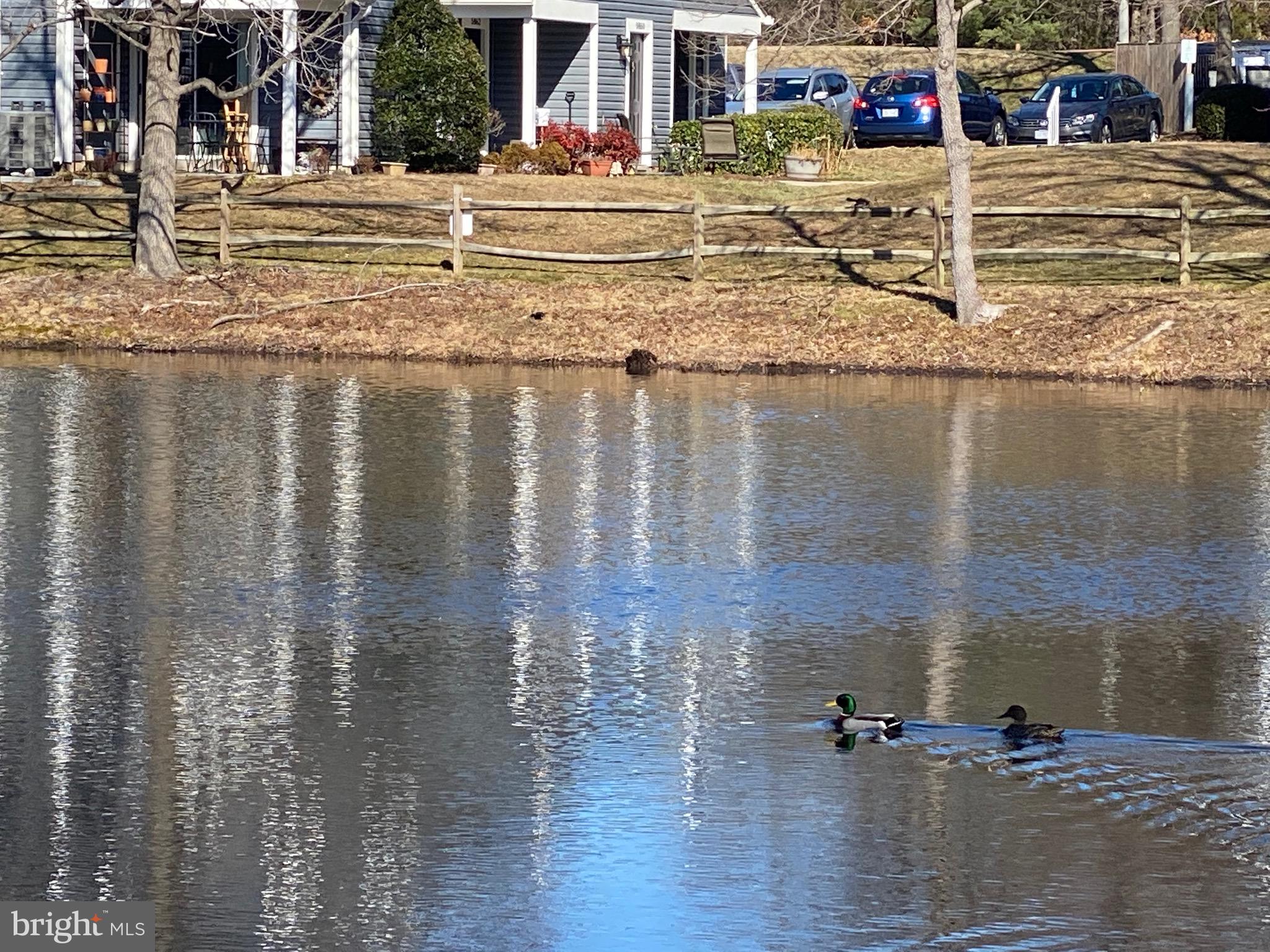 PONDS AT CENTREVILLE - Residential Lease