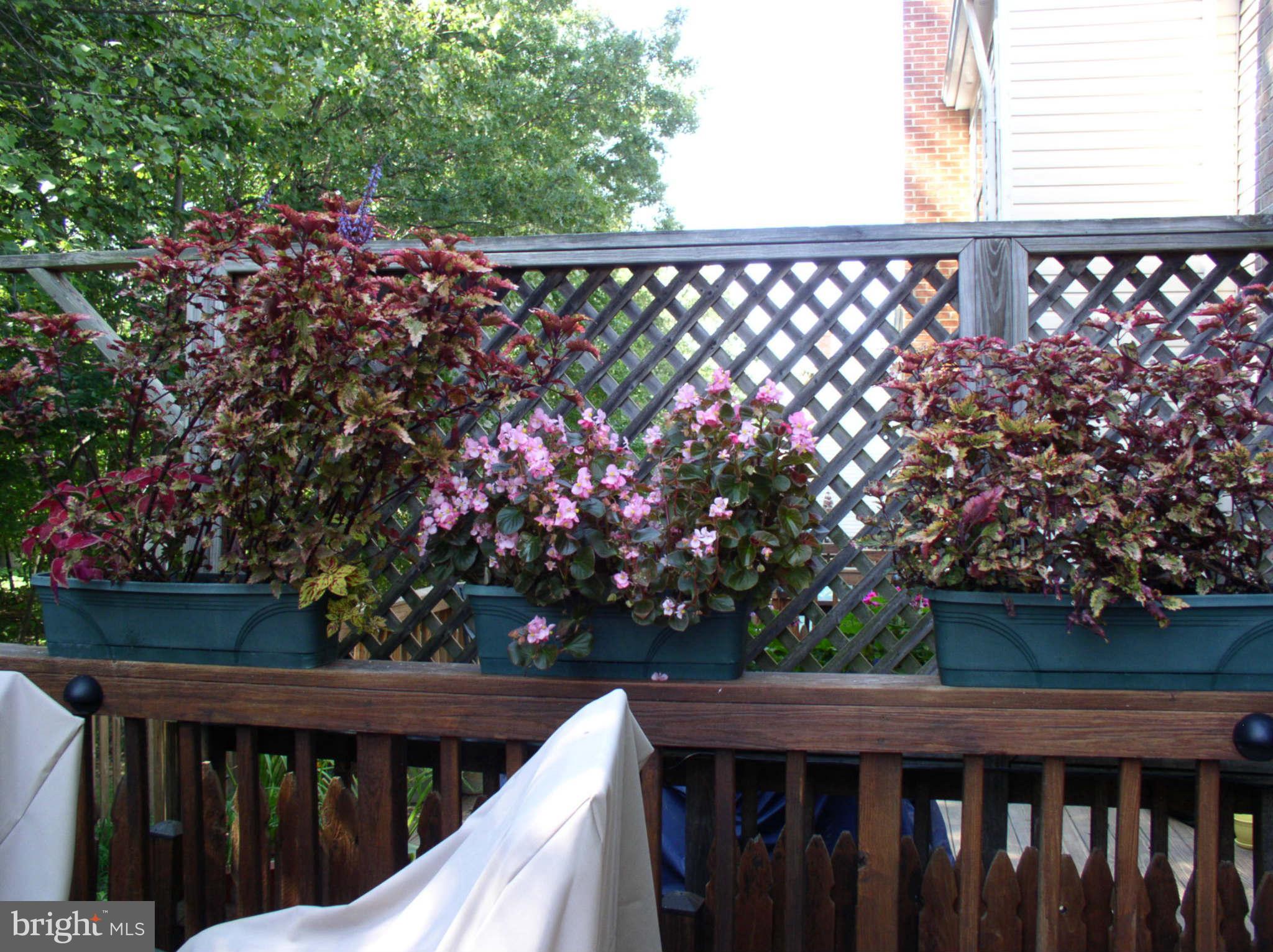 WESTRIDGE - Residential