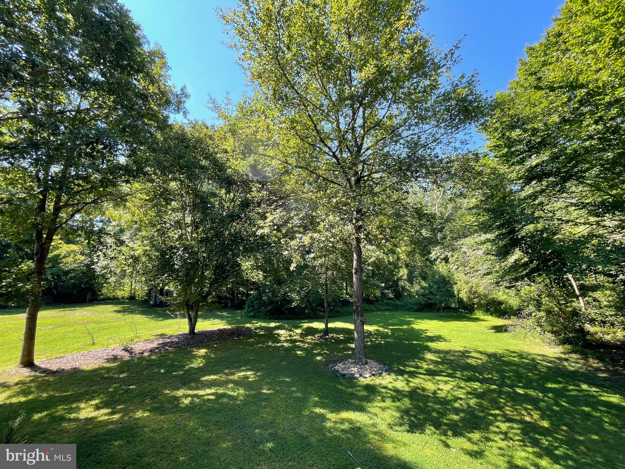 CARDINAL FOREST - Residential