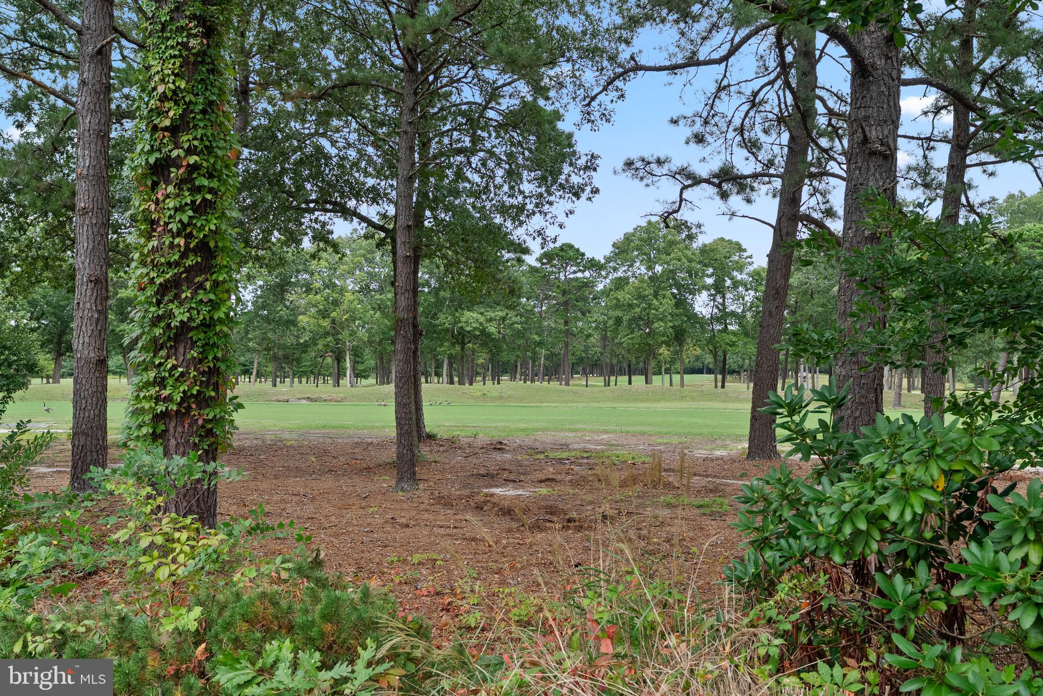 277 GREENBRIAR COURT