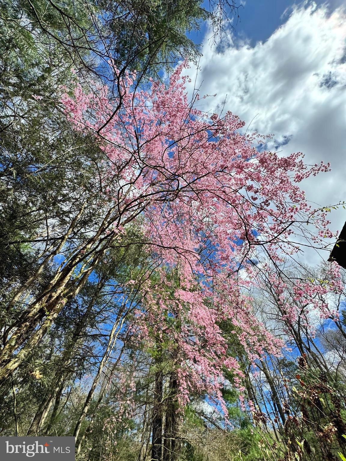 FISHING CREEK - Residential