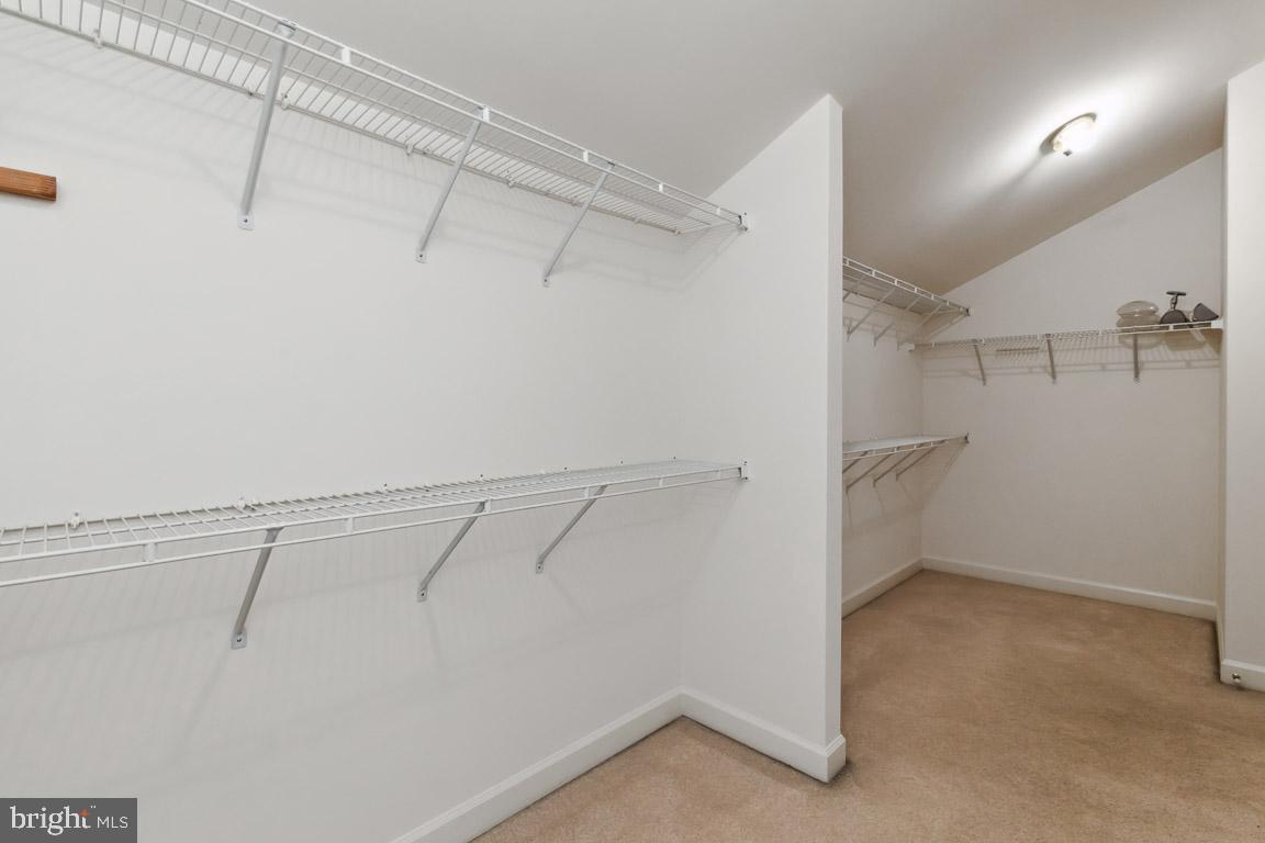 BUCKLEYS RESERVE - Residential Lease