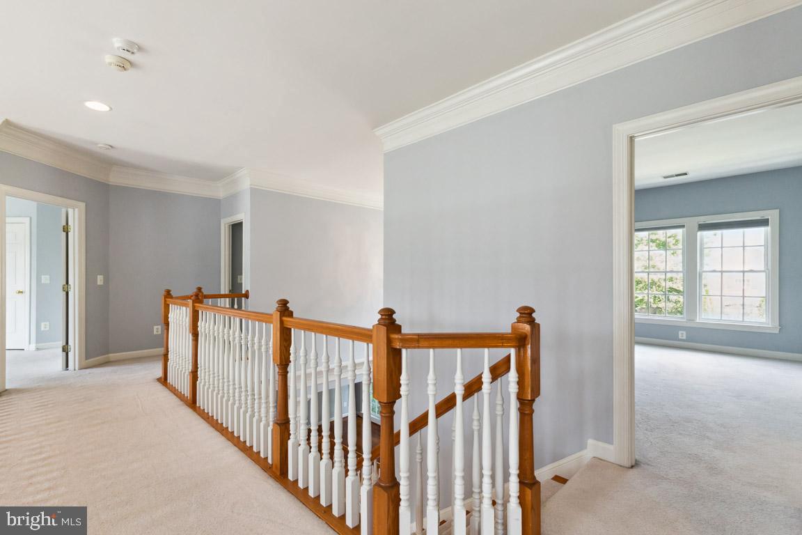 BUCKLEYS RESERVE - Residential Lease