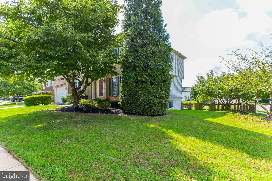 BUCKLEYS RESERVE - Residential Lease