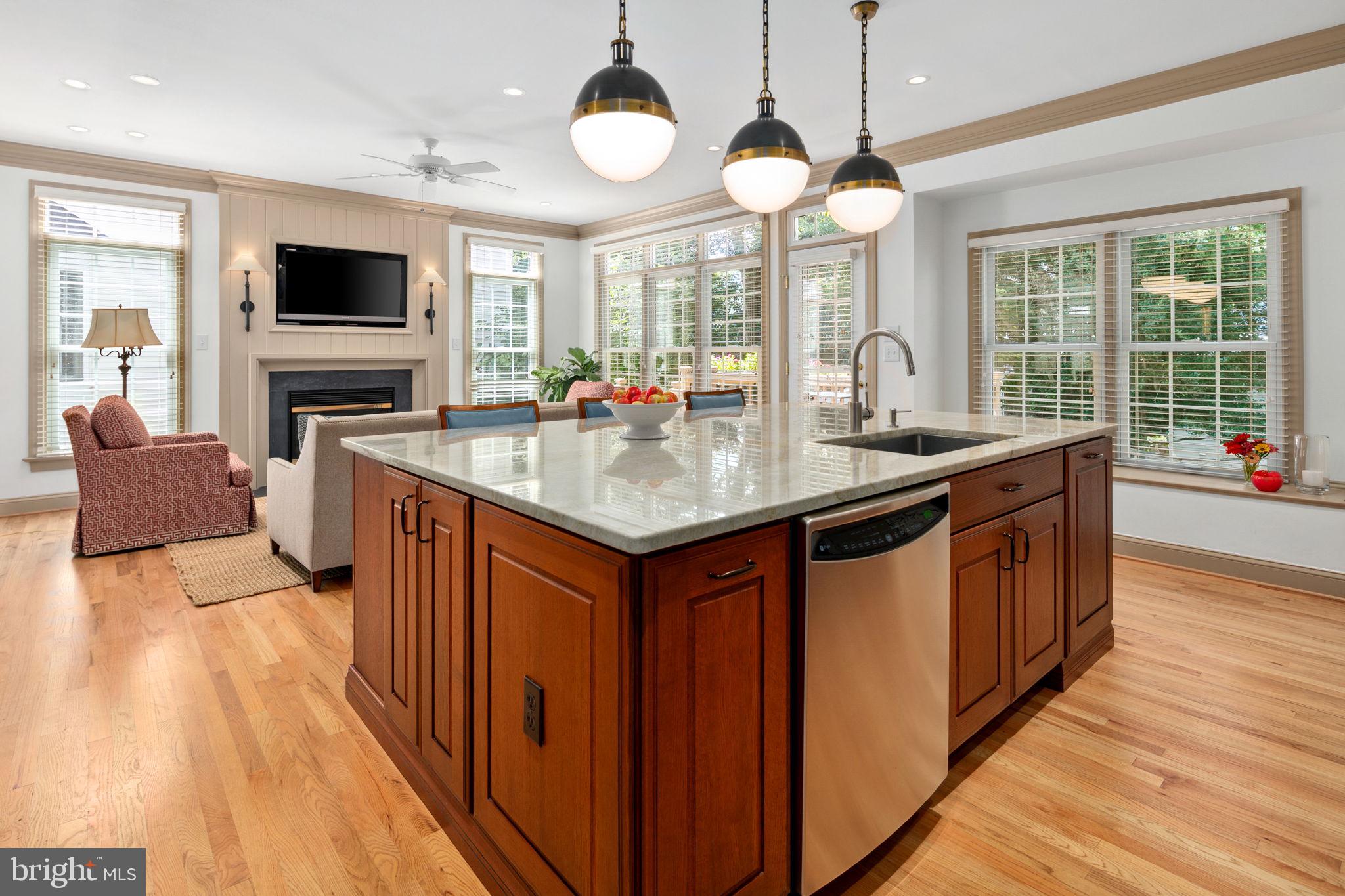 LYON VILLAGE - Residential