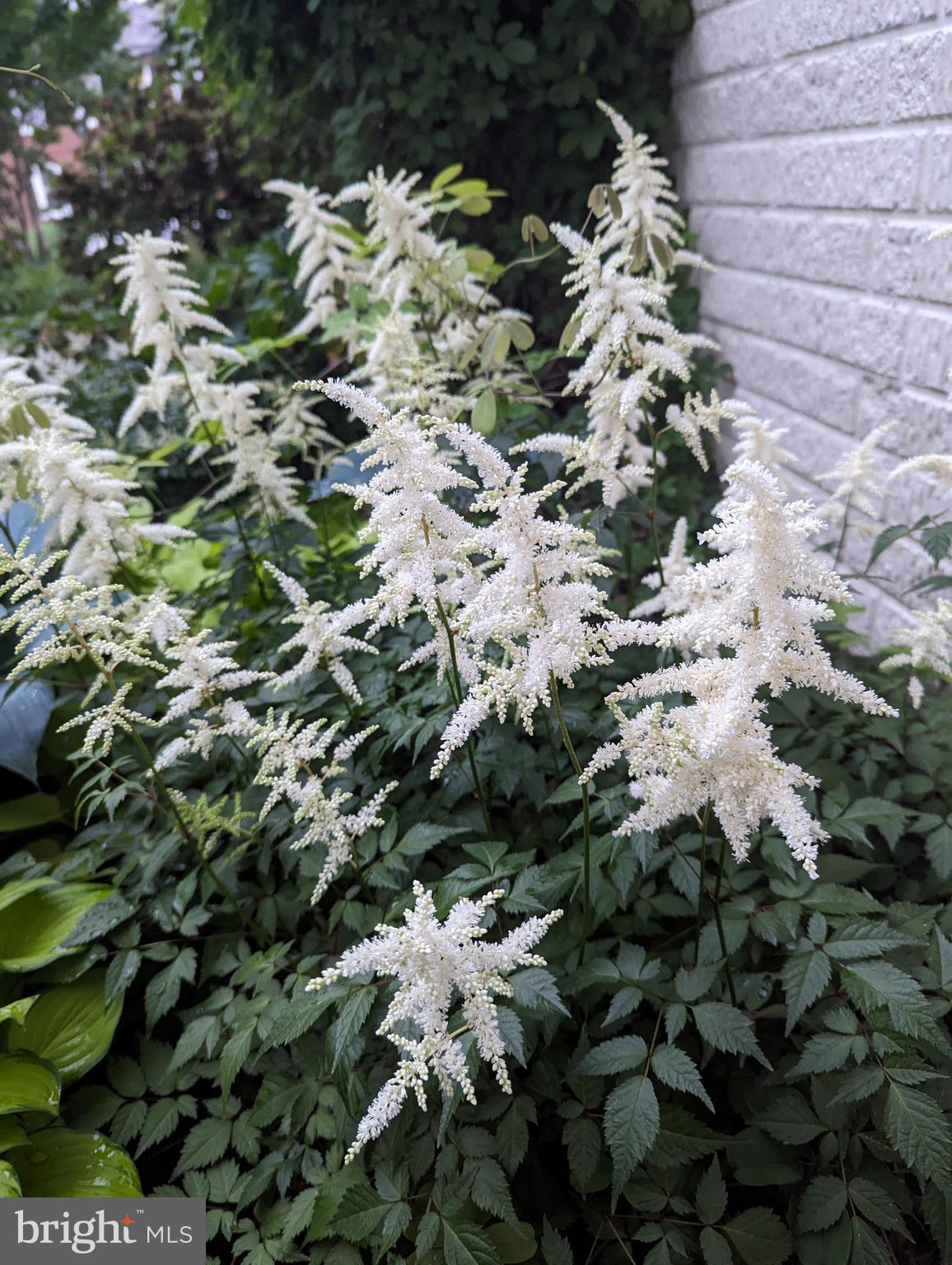 LYON VILLAGE - Residential