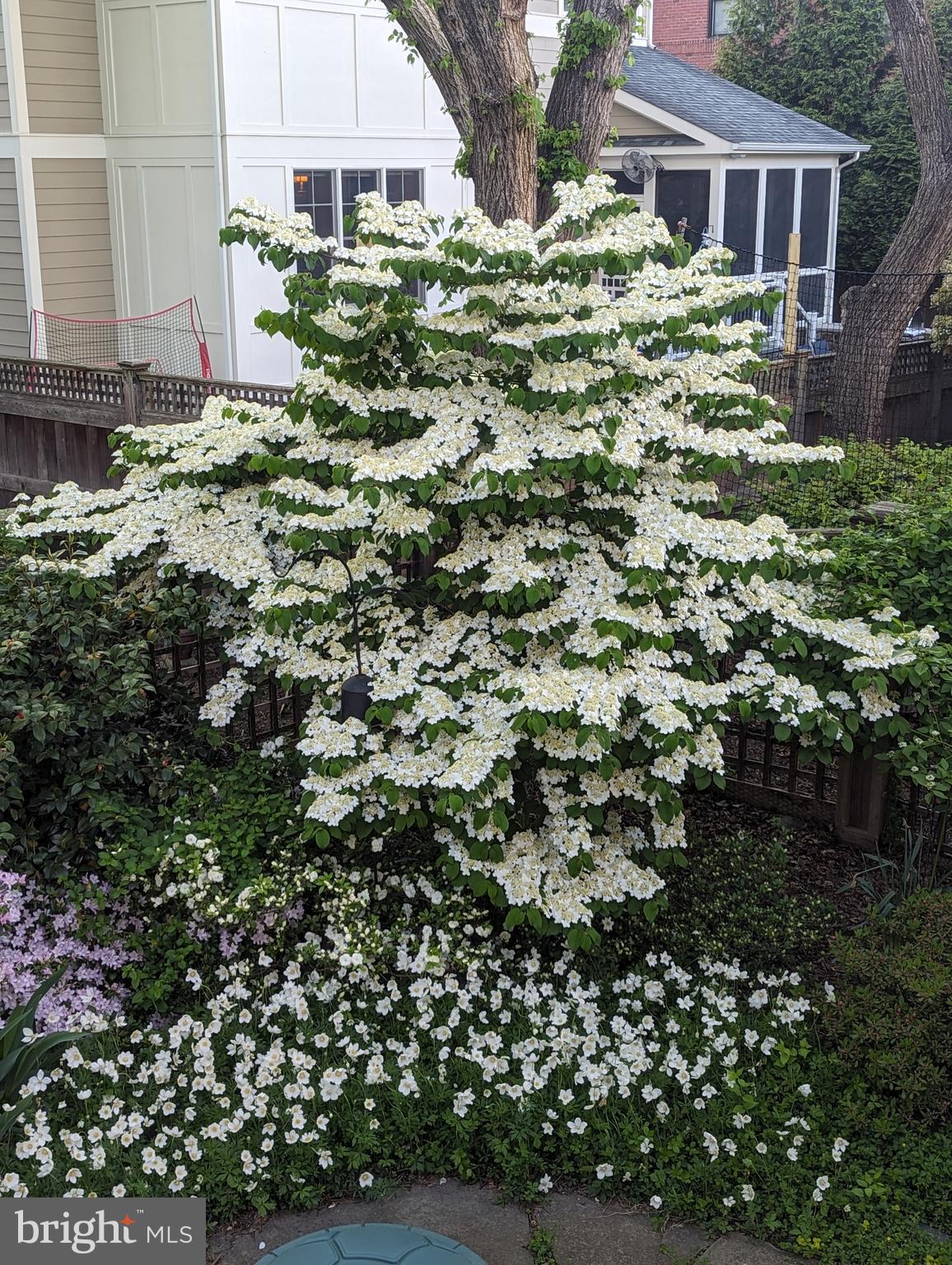 LYON VILLAGE - Residential