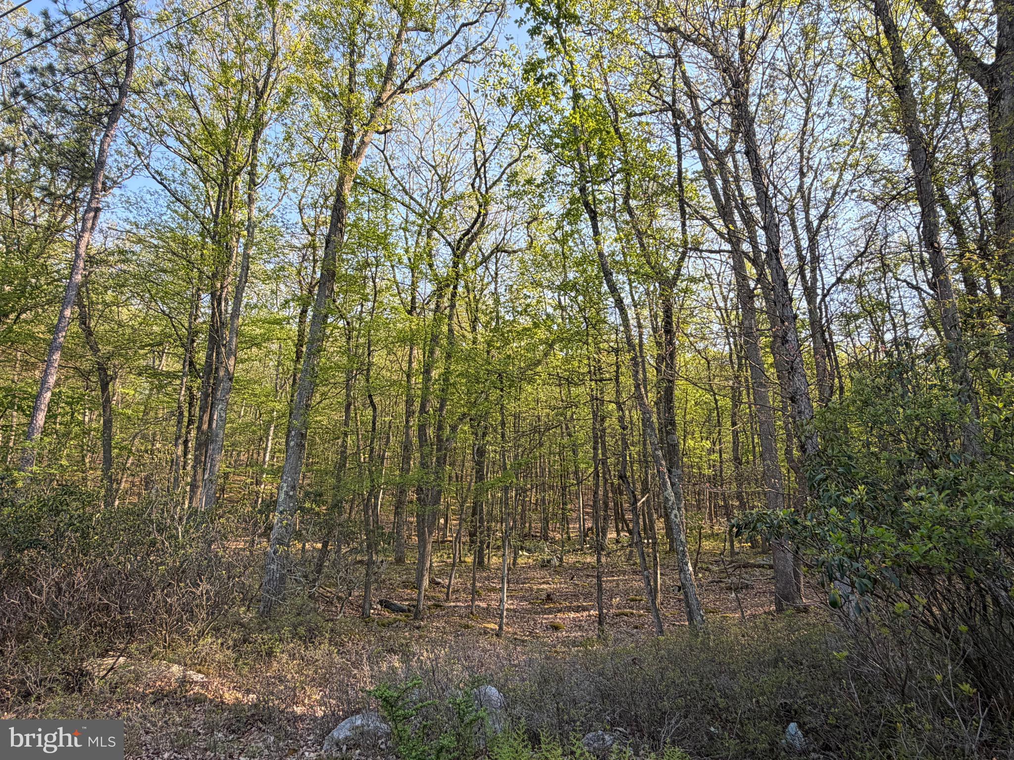 COVE VILLAGE - Land