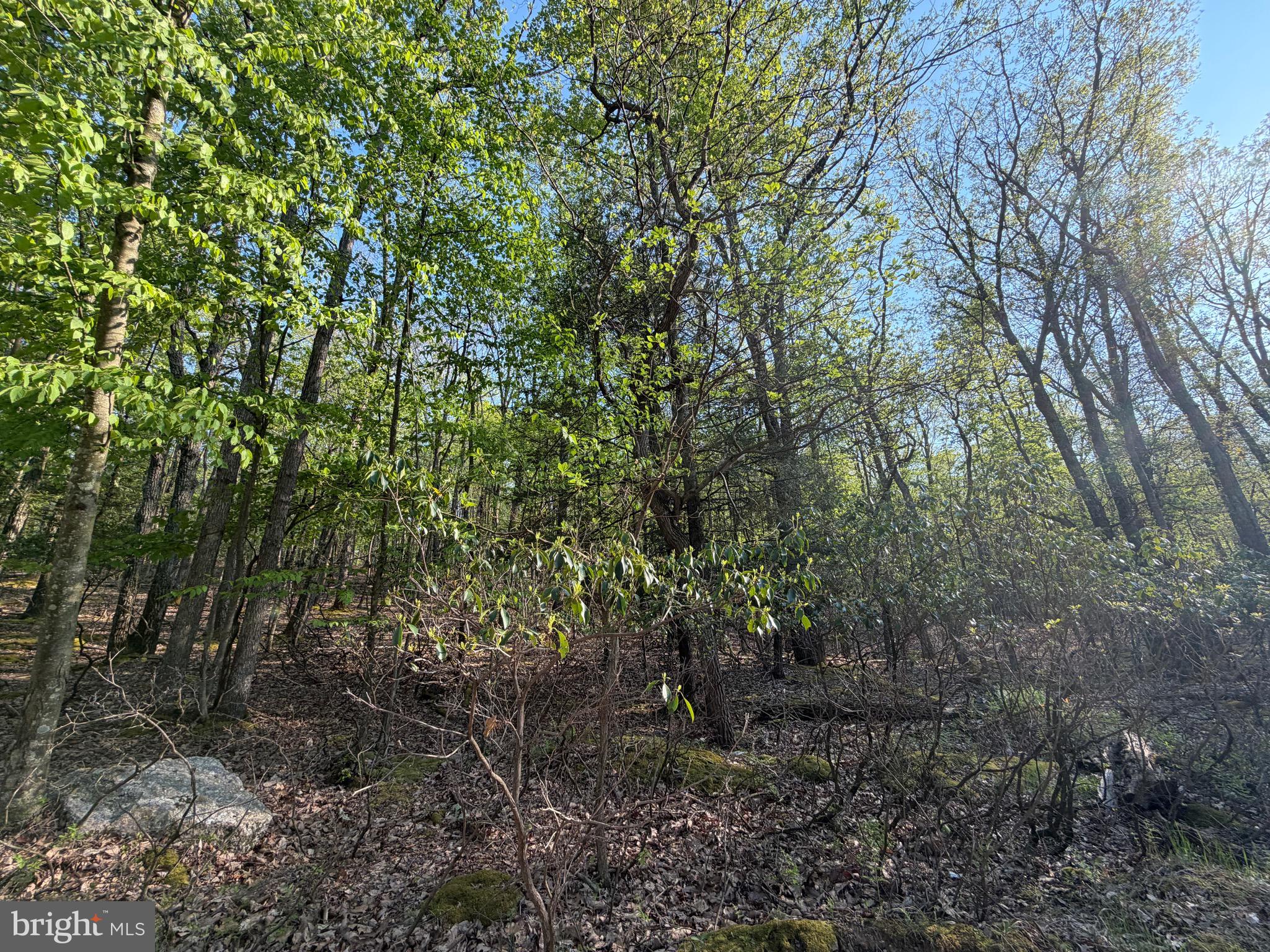 COVE VILLAGE - Land